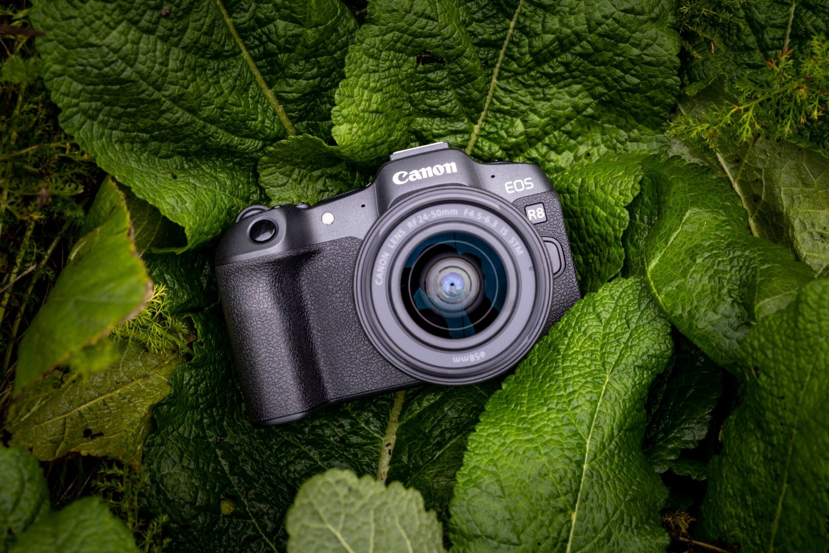 Canon Systemkamera »EOS + MP, ab F4.5-6.3 verfügbar RF 17.04.23 Bluetooth-WLAN, 24-50mm STM, bei IS 24,2 F4.5-6.3 24-50mm IS STM Kit«, R8 RF