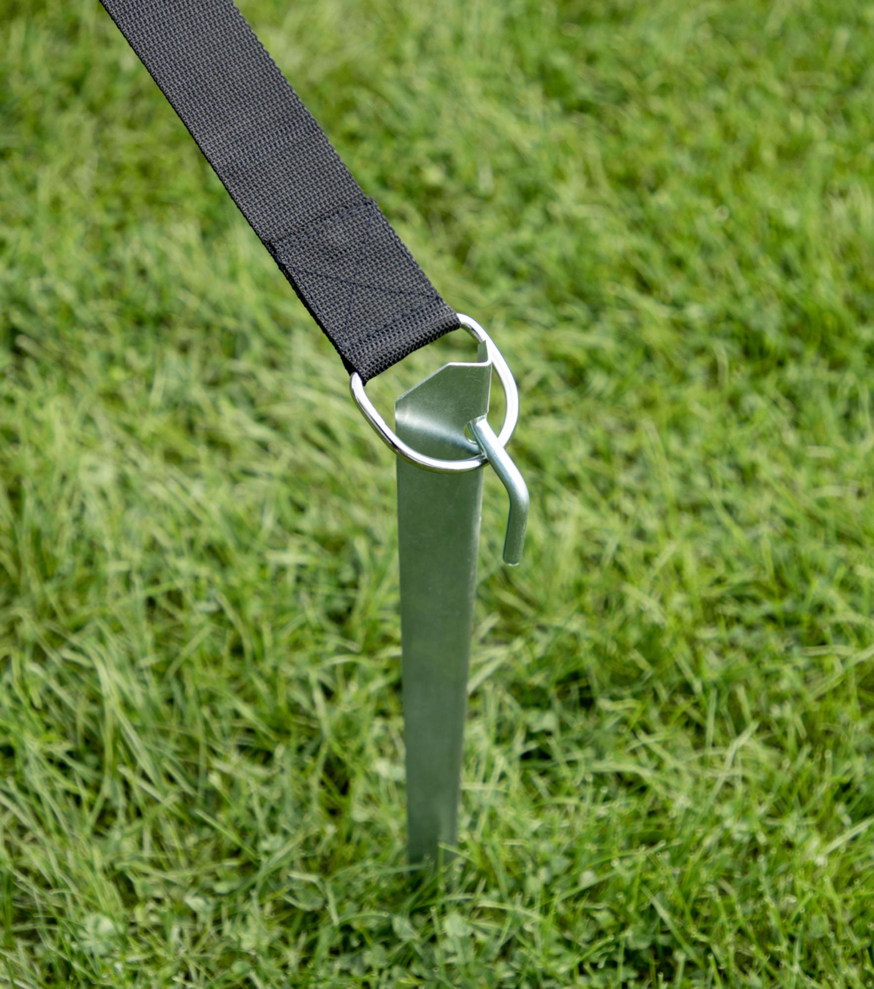 Cartrend Abspannleine