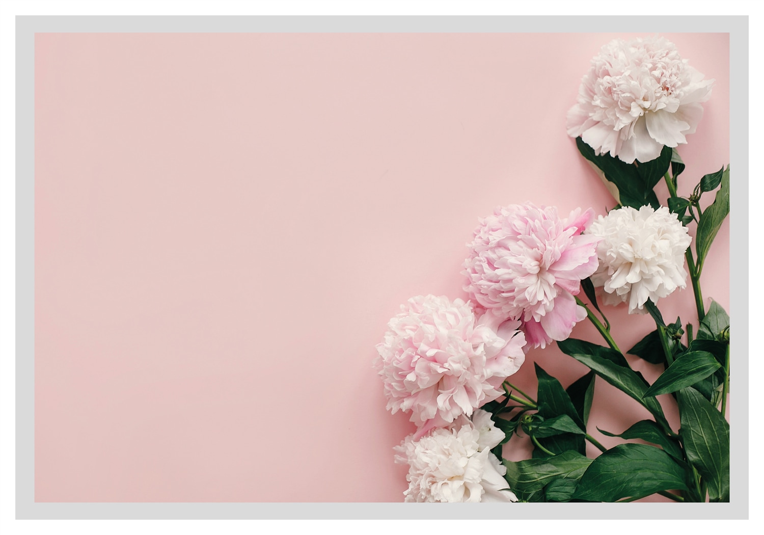 queence Bild »Gunda« Blumen | Foto | Kunst | Pflanzen | Pflanzenbilder Rosen, gerahmt