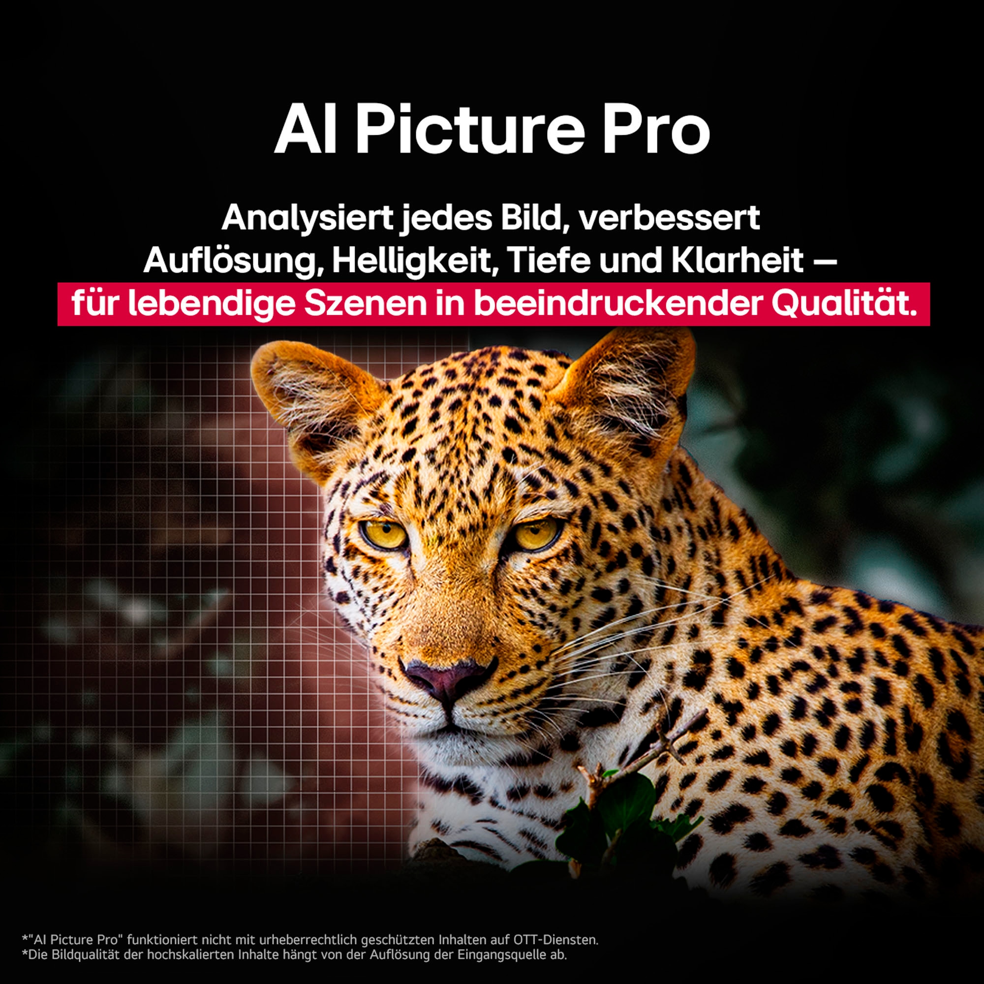 LG OLED-Fernseher »OLED55C5ELB«, 4K Ultra HD, Smart-TV