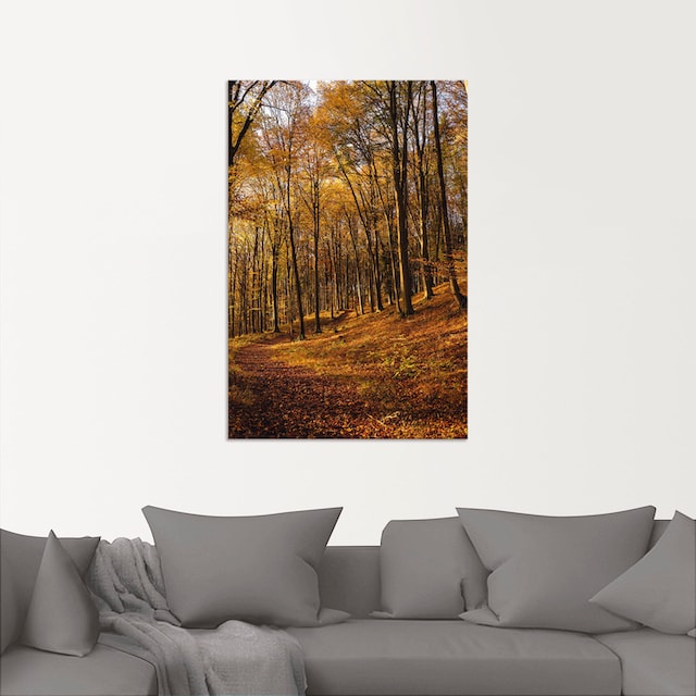 Artland Wandbild »Schöne Herbstfarben bei Sonnenuntergang«, Waldbilder, (1  St.), als Alubild, Leinwandbild, Wandaufkleber oder Poster in versch. Größen  auf Raten bestellen
