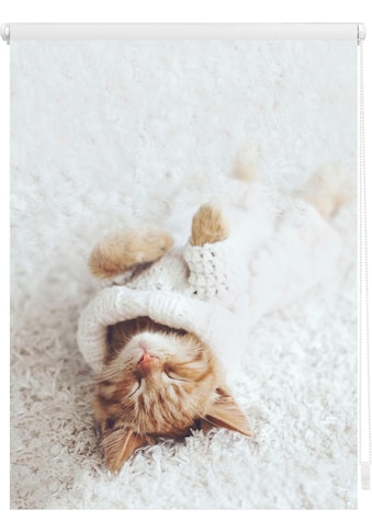 Seitenzugrollo »Klemmfix Digital Sleepy Cat«, verdunkelnd, energiesparend, ohne...