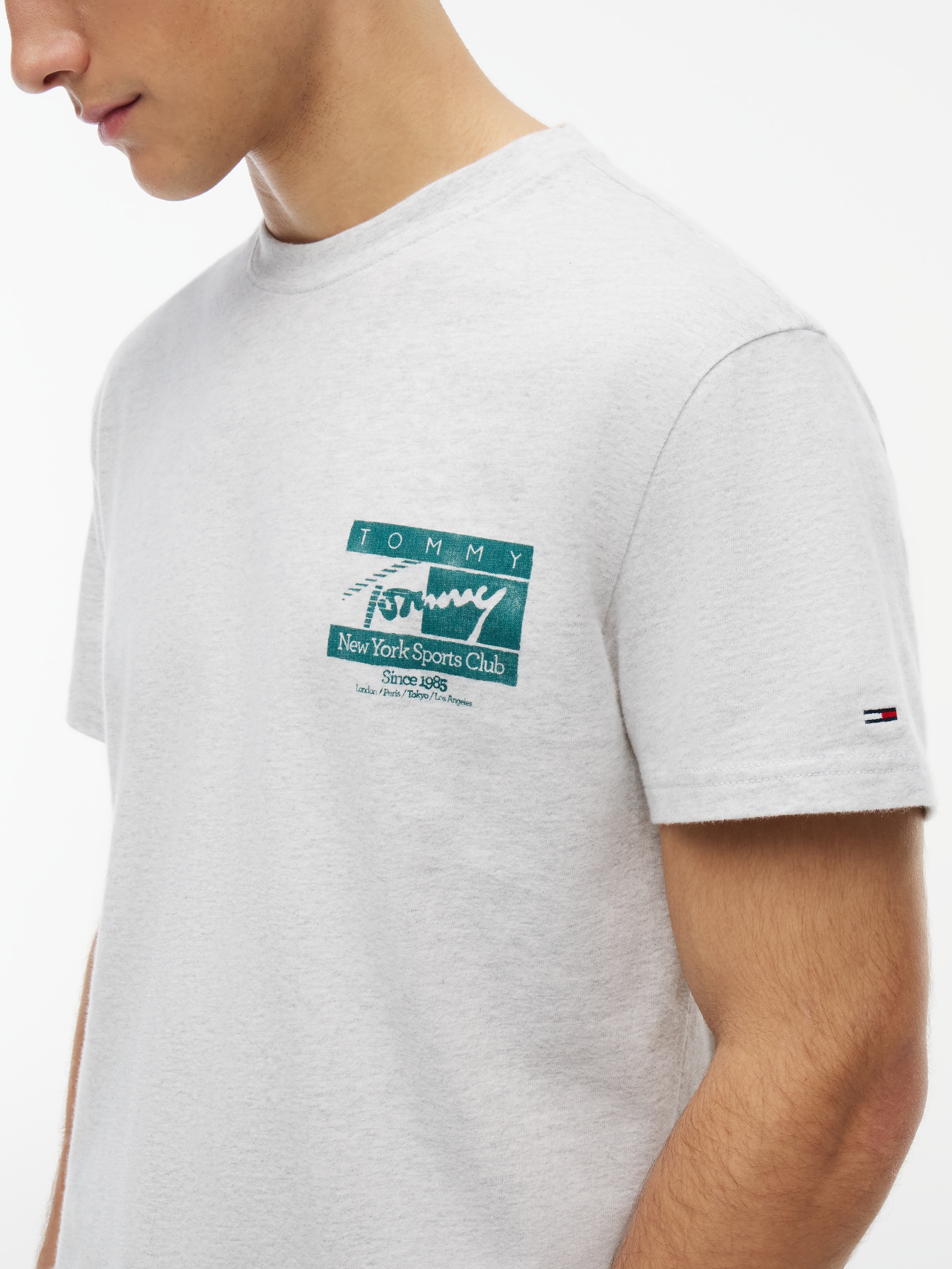 Tommy Jeans T-Shirt »TJM REGULAR SIGNATURE FLAG«