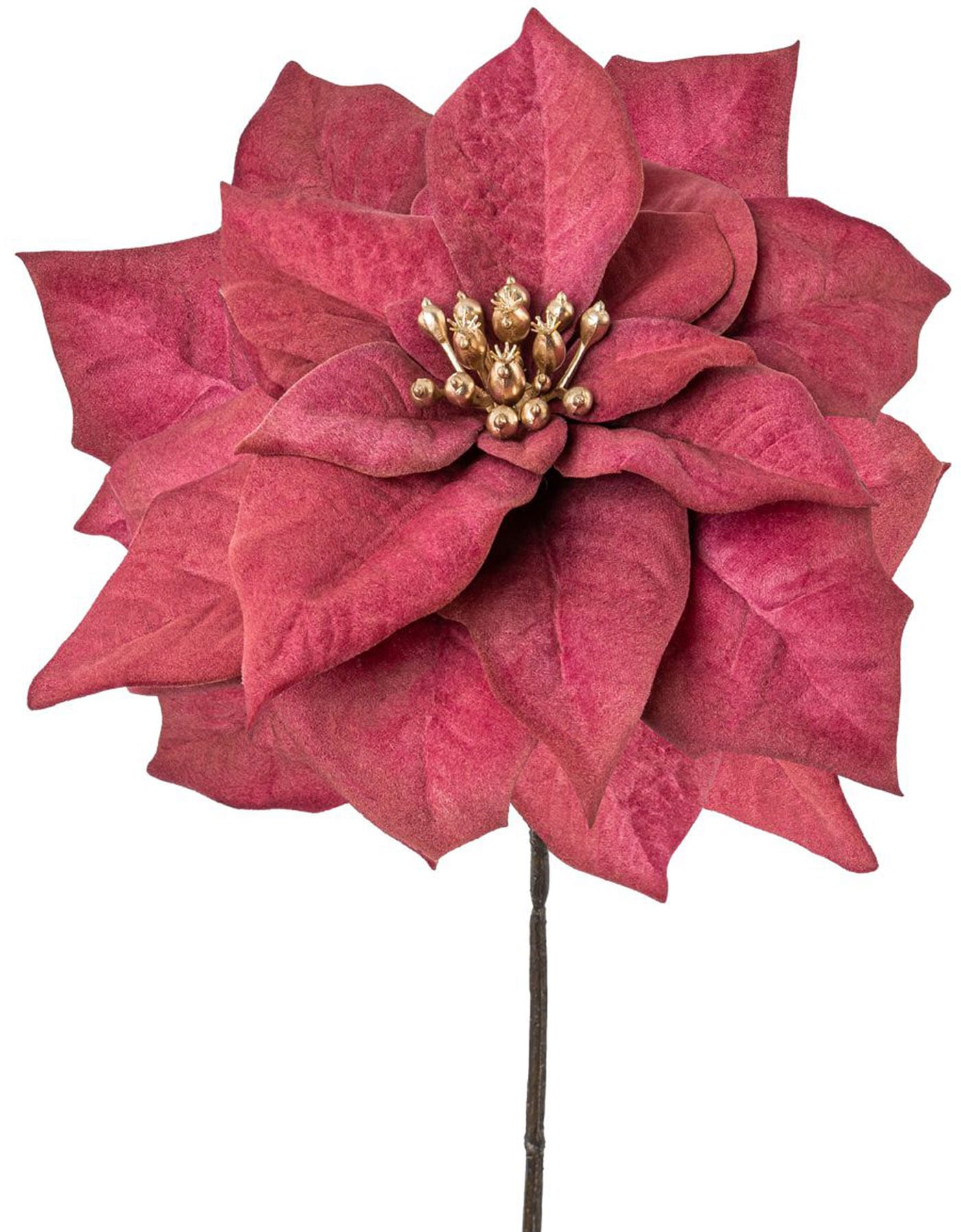Blütenkelch, Winterliche Kunstpflanze bequem »Weihnachtsdeko goldfarbenfarbenem bestellen Creativ green rot«, 6er-Set mit