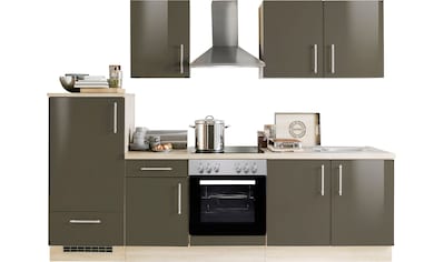 Menke Küchen Küchenzeile »Premium«, Küchenzeile mit E-Geräten, Breite 270 cm kaufen
