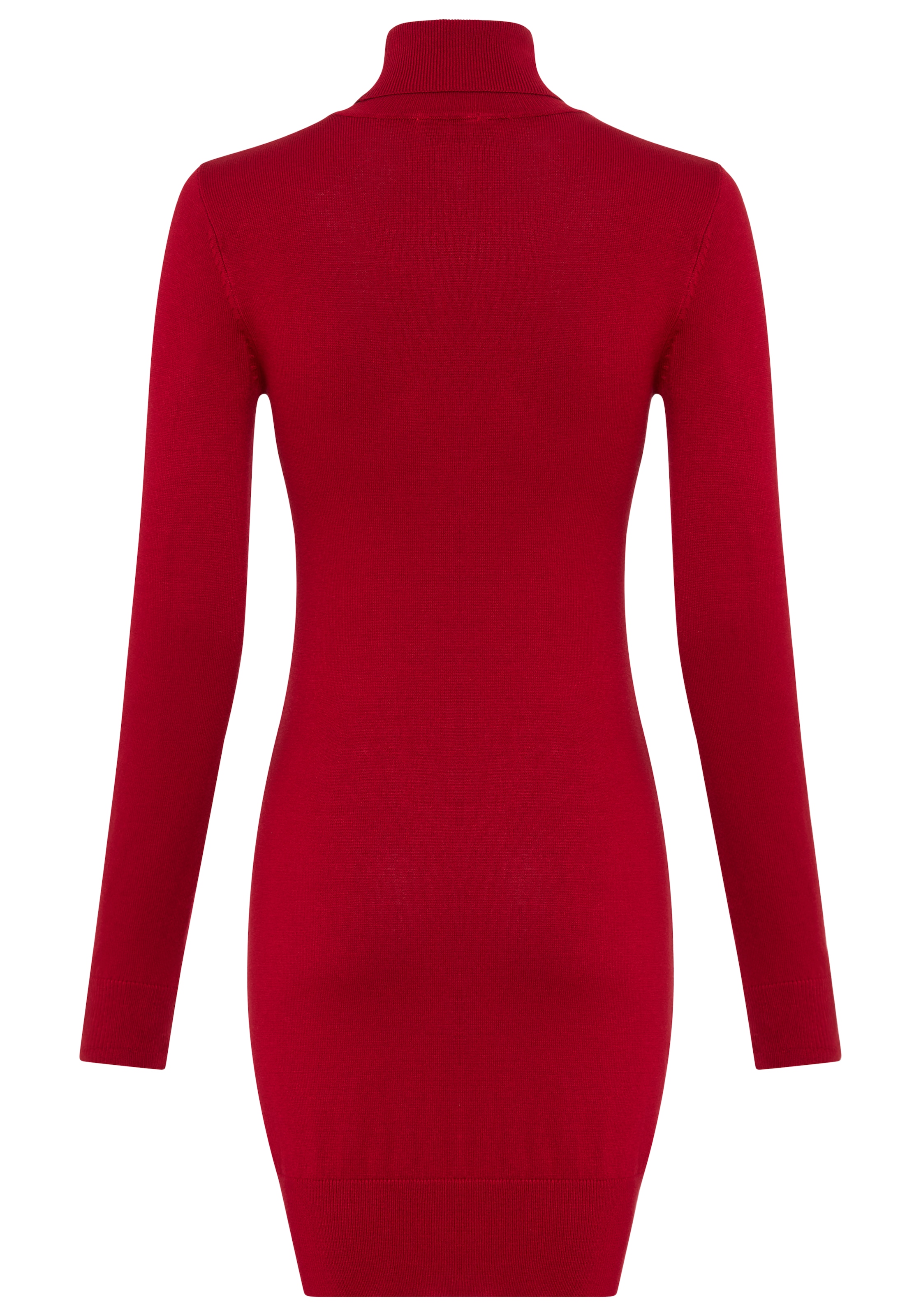 AJC Strickkleid mit Rollkragen aus Viskosemischung