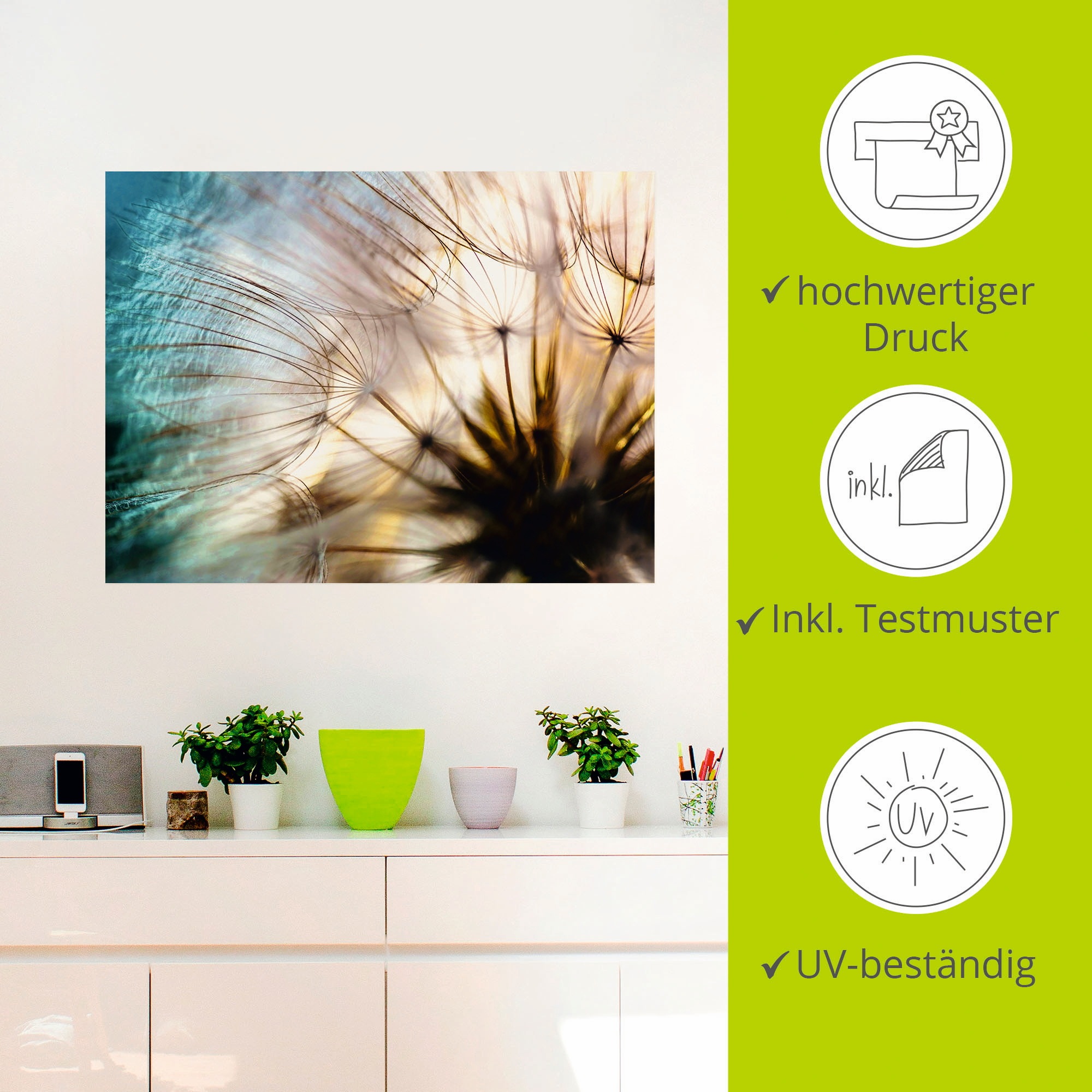 Artland Wandbild »Pusteblume Makro abstrakt«, Blumen, (1 St.), als Alubild, Outdoorbild, Leinwandbild, Poster, Wandaufkleber