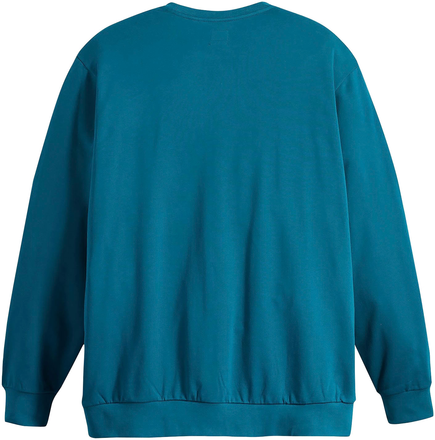 Levi's® Plus Sweatshirt »BIG ORIGINAL HM CREW«