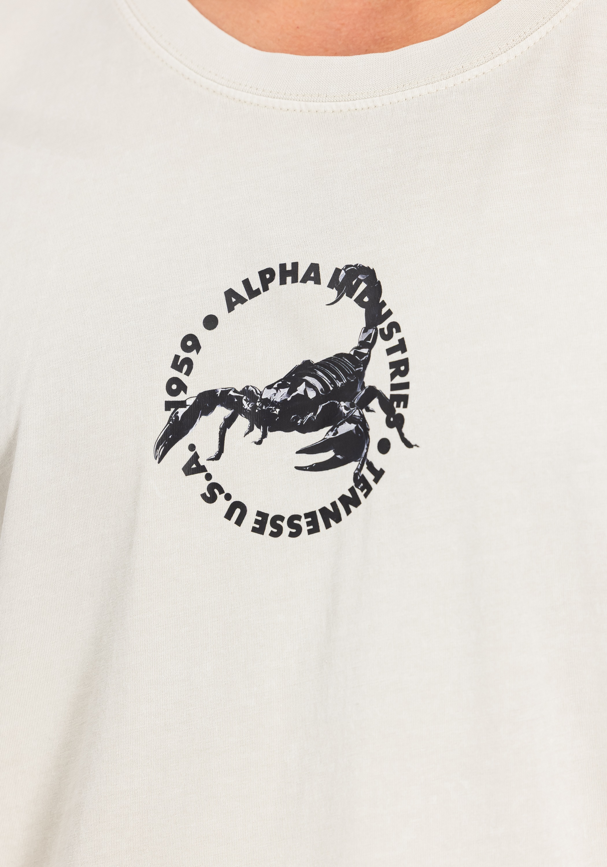 Alpha Industries T-Shirt »US Scorpion Backprint T-Shirt«
