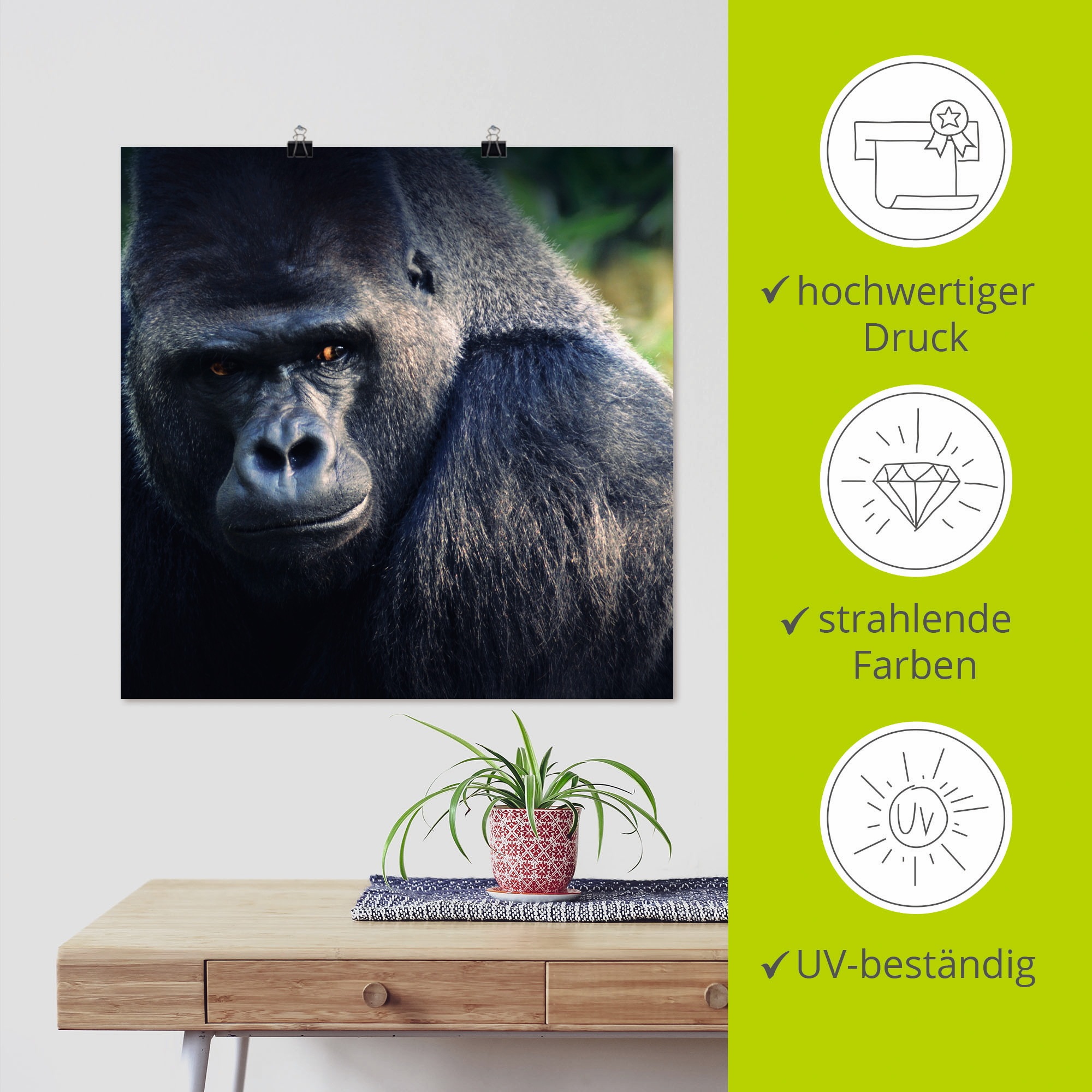 Artland Poster »Gorilla«, Wildtiere, (1 St.), als Leinwandbild, Wandaufkleber oder Poster in versch. Größen