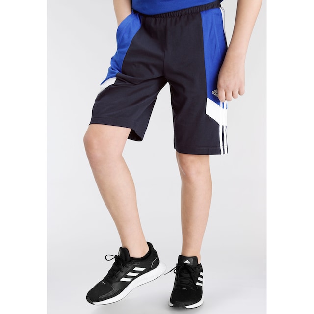 adidas Sportswear Shorts »COLORBLOCK 3-STREIFEN REGULAR FIT«, (1 tlg.) bei  ♕