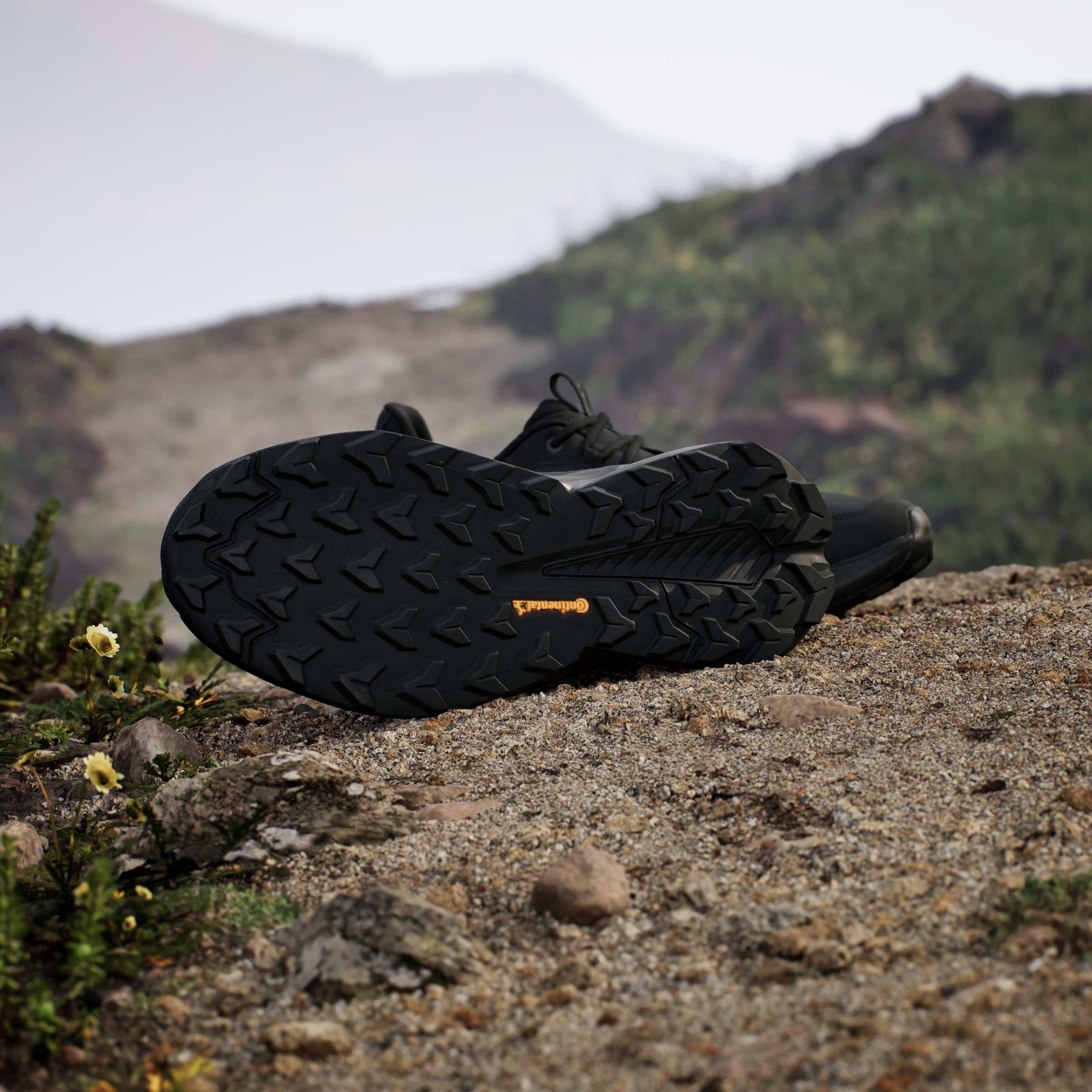 adidas TERREX Wanderschuh »TERREX TRAILMAKER 2.0 LEATHER«