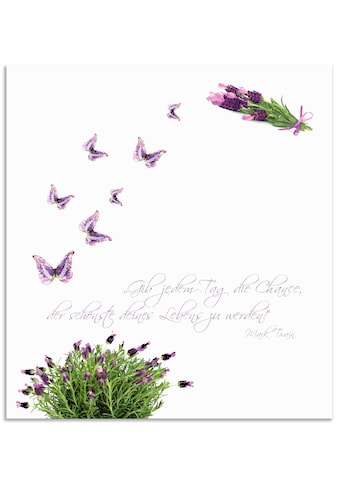 Küchenrückwand »Lila Schmetterlinge an Lavendel«, (1 tlg.), Alu Spritzschutz mit...