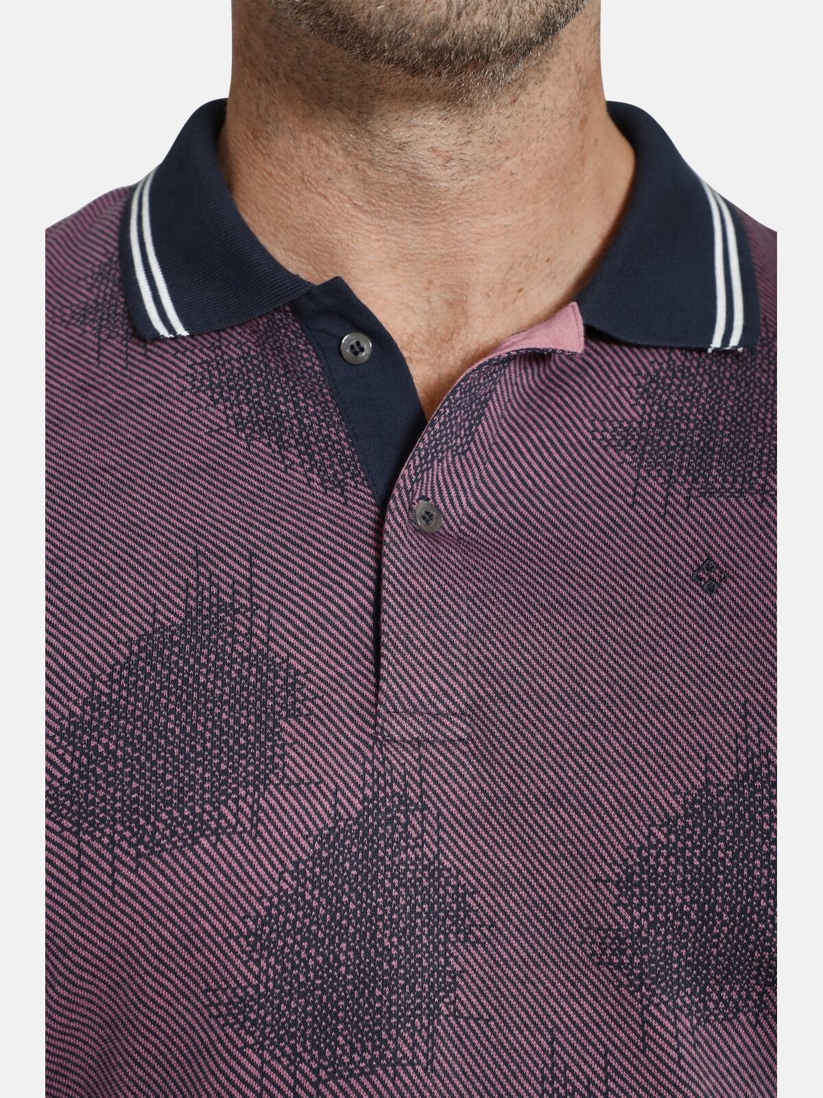 Charles Colby Poloshirt »Poloshirt EARL NEELS«, (1 tlg.), Kragen mit sportiven Streifen