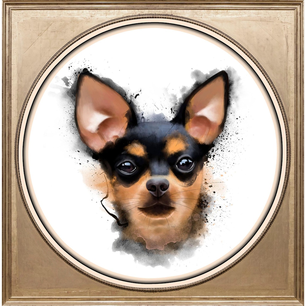 queence Acrylglasbild »Chihuahua«