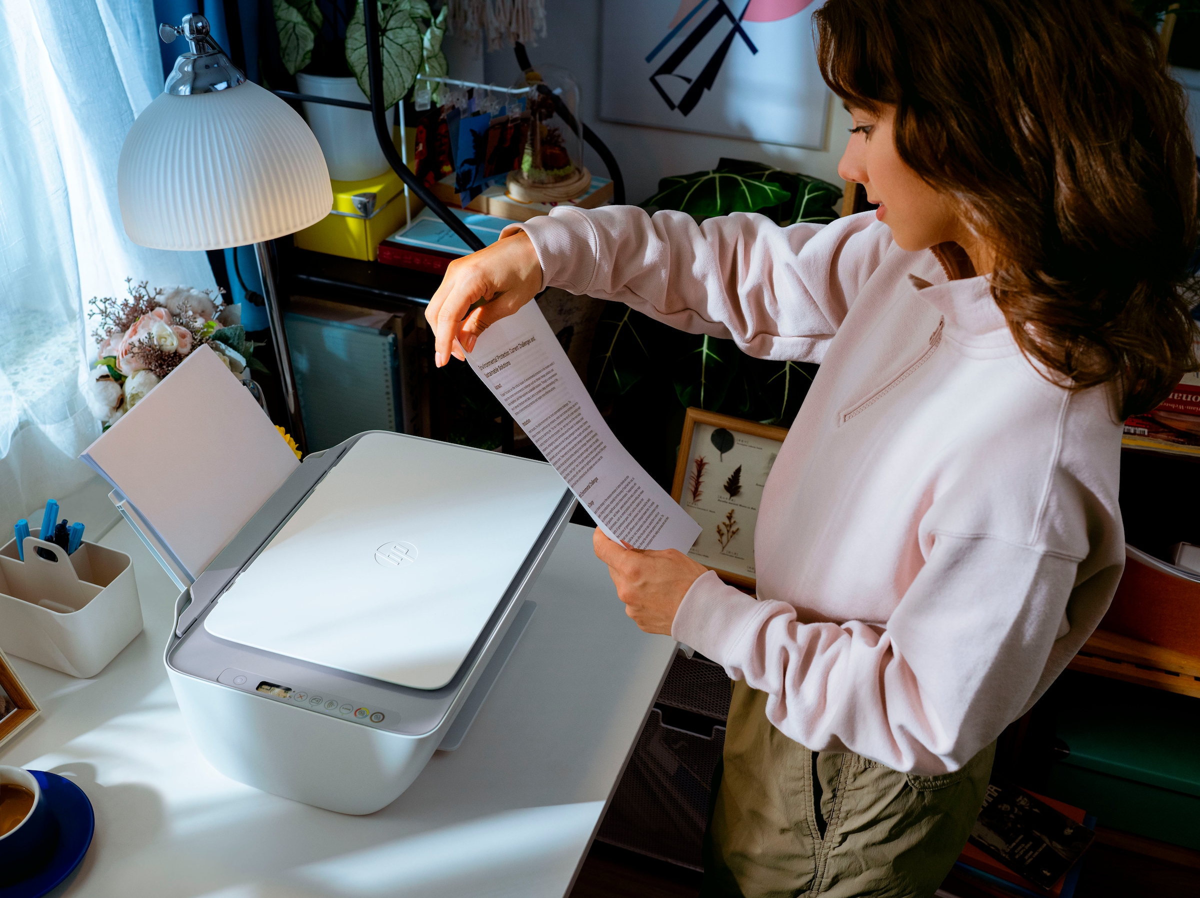 HP Multifunktionsdrucker »DeskJet 2920«