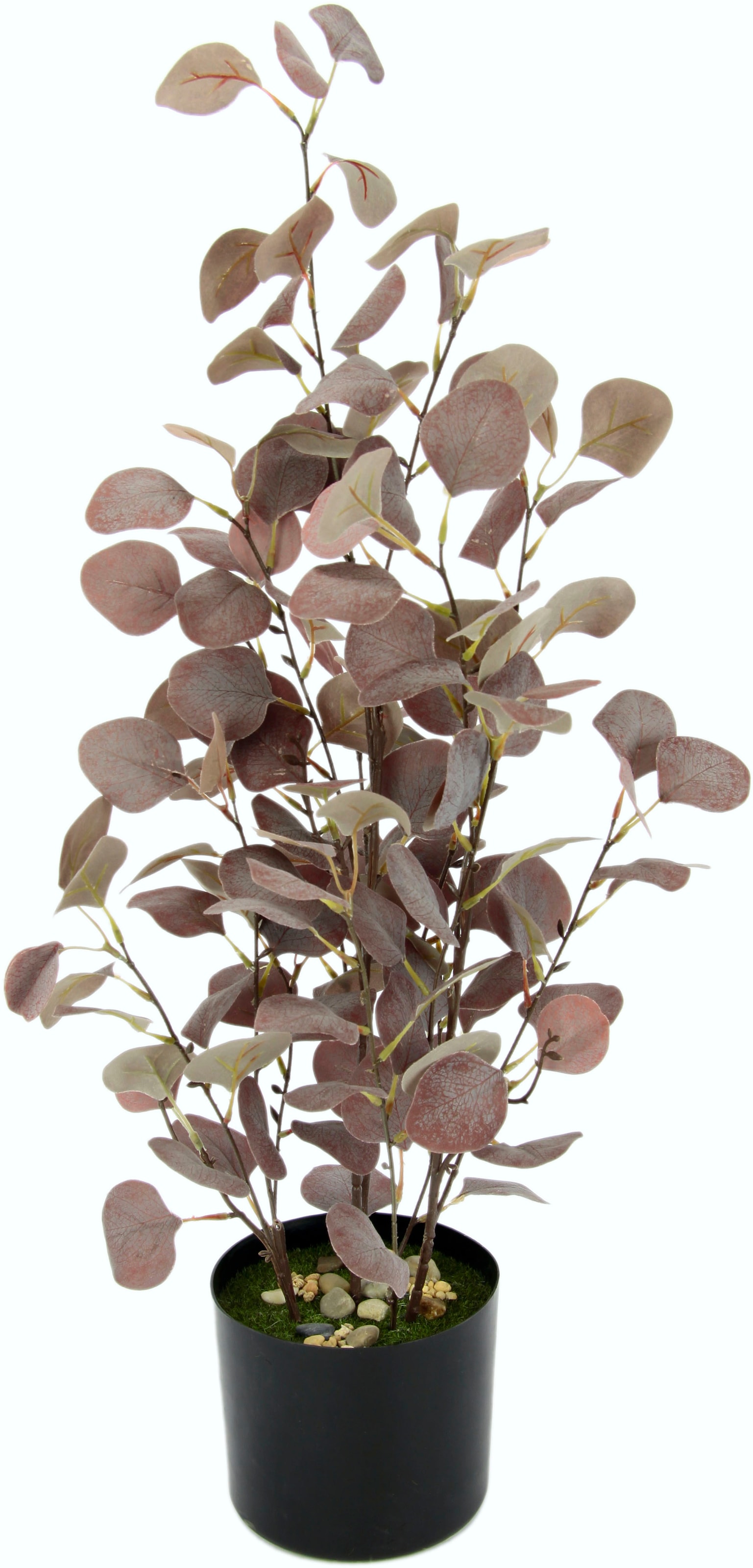 I.GE.A. Kunststofftopf Kunstpflanze UNIVERSAL »Eukalyptuspflanze«, im bei online