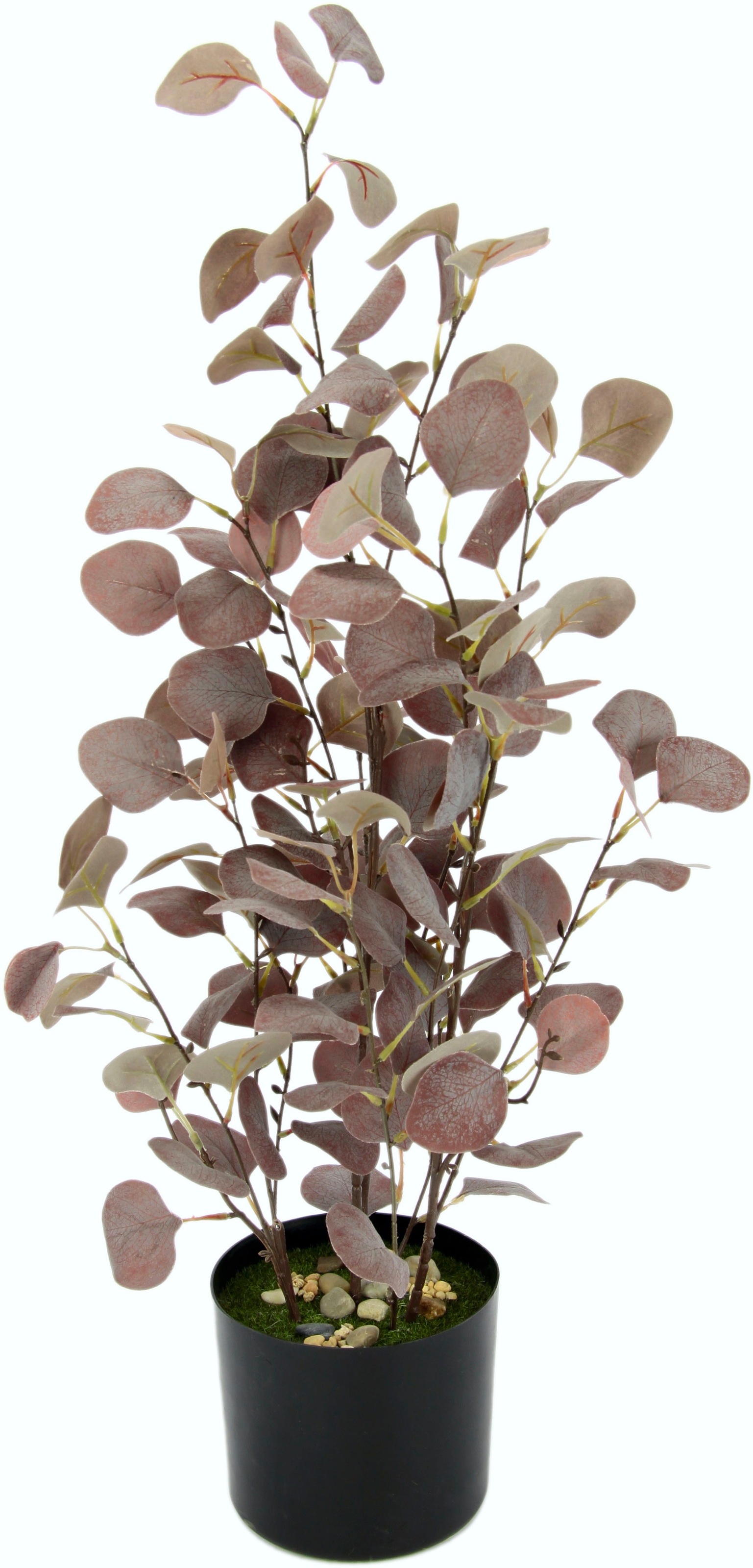 I.GE.A. Kunstpflanze »Eukalyptuspflanze«, im Kunststofftopf online bei  UNIVERSAL