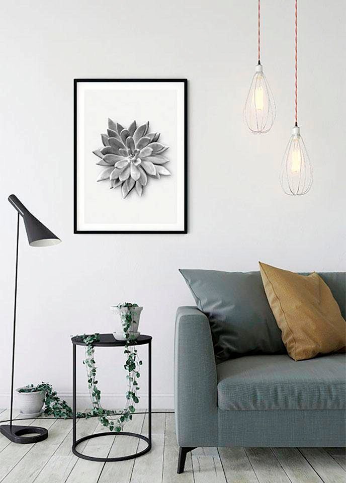 Komar Poster »Succulent Agave«, XXL Wohnzimmer | kaufen online Kinderzimmer, Schlafzimmer, 3 mit Jahren Pflanzen-Blätter, Garantie