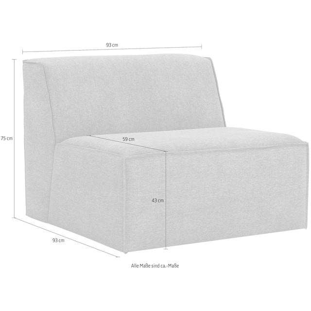 RAUM.ID Sofa-Mittelelement »Norvid«, modular, mit Taschenfederkern, große  Auswahl an Modulen bequem bestellen