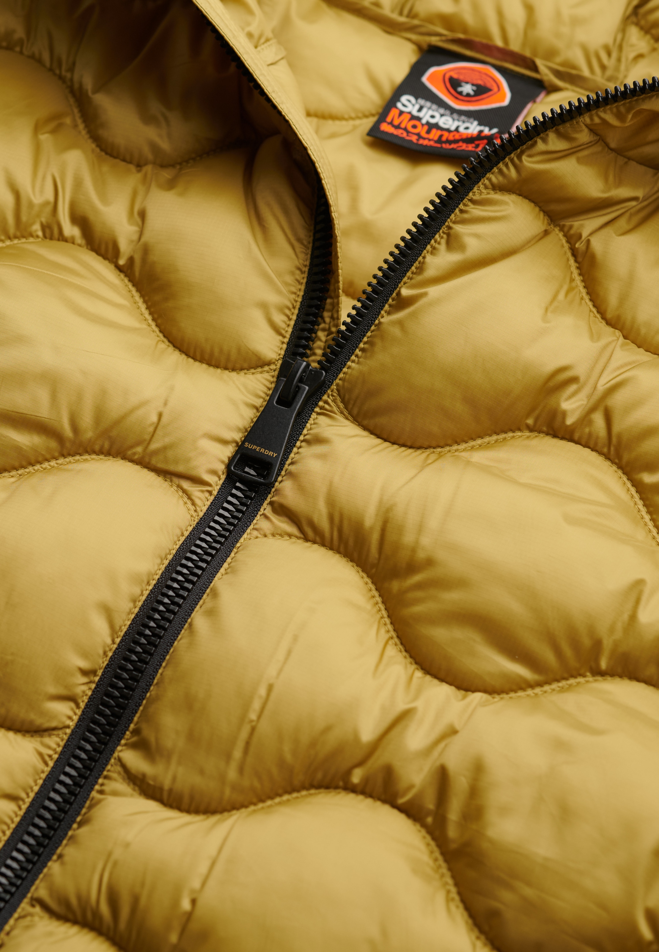 Superdry Steppjacke »HOODED QUILTED WAVE PADDED JKT« mit Kapuze