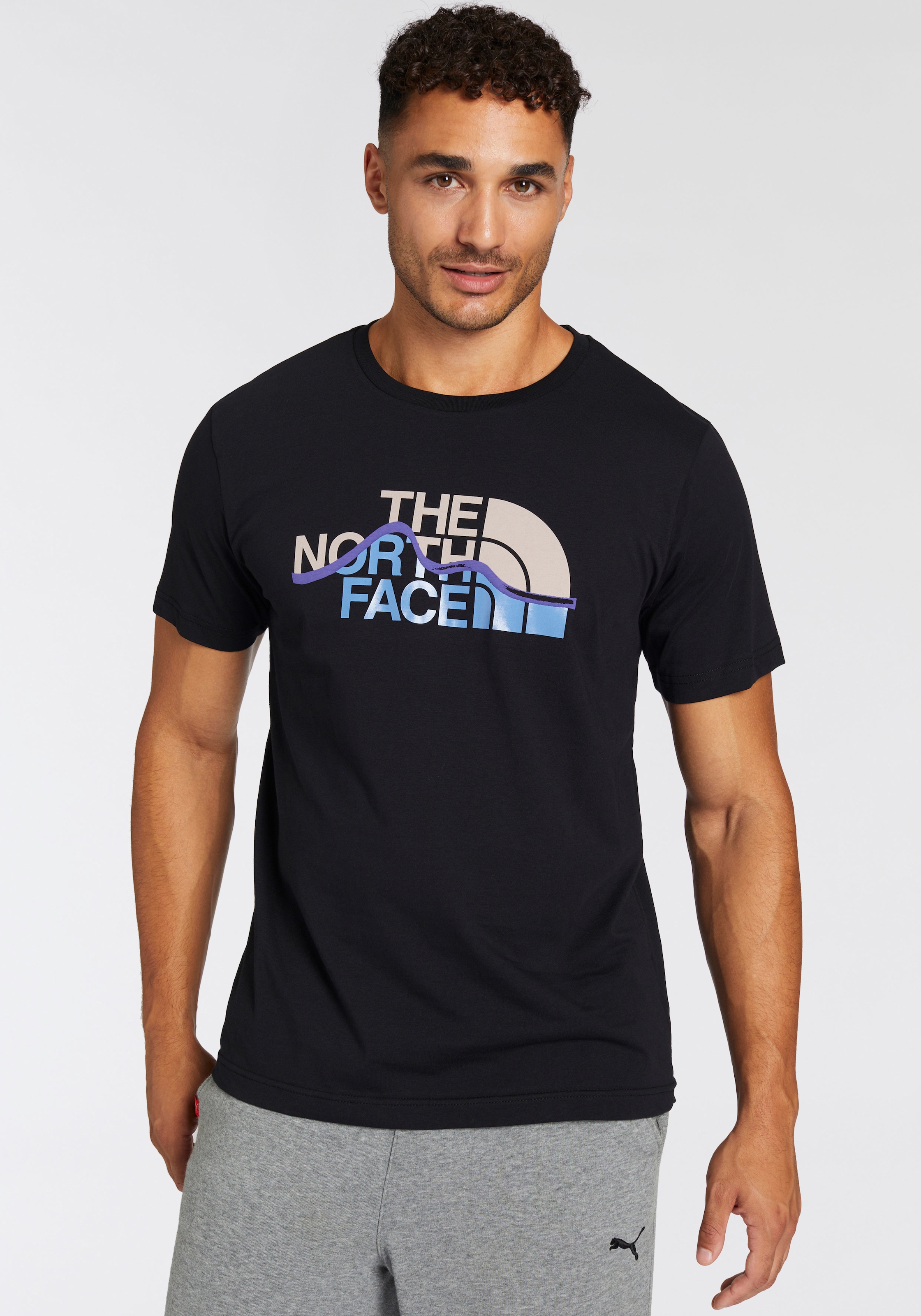 The North Face T-Shirt »M S/S MOUNTAIN LINE TEE«