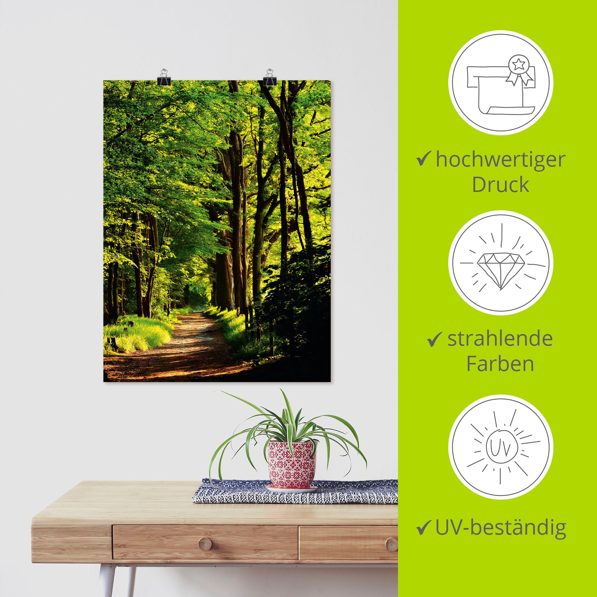 Artland Wandbild »Weg im Wald« Wald 1 Stk. tlg. als Alubild, Outdoorbild, Leinwandbild, Poster in verschied. Größen
