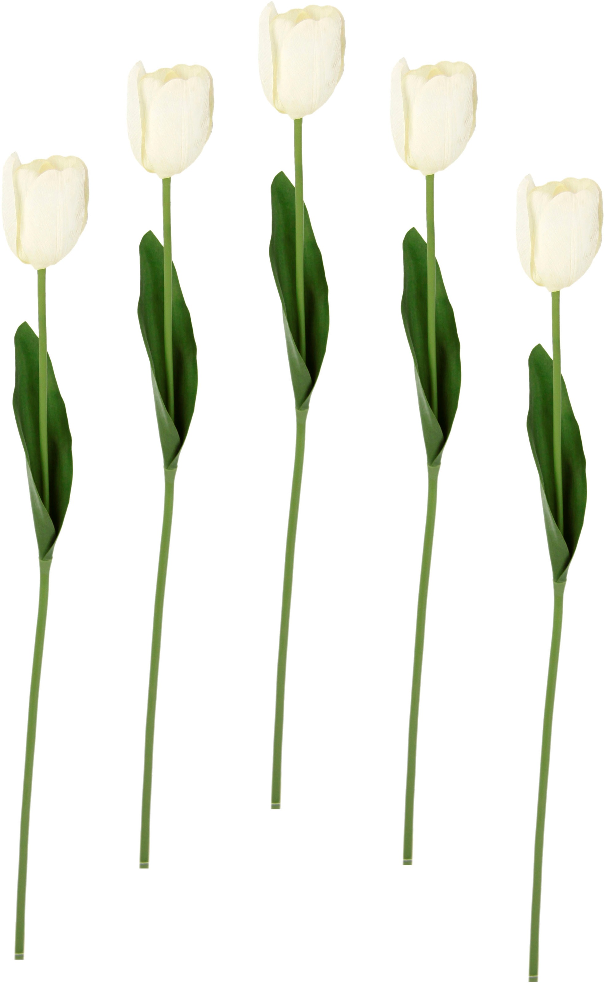 I.GE.A. Kunstblume »Real Touch Tulpen«, 5er Set künstliche Tulpenknospen, Kunstblumen, Stielblume