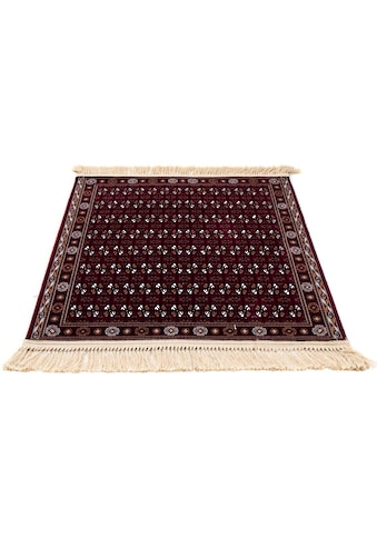 Orientteppich »Afghan Mauri«, quadratisch