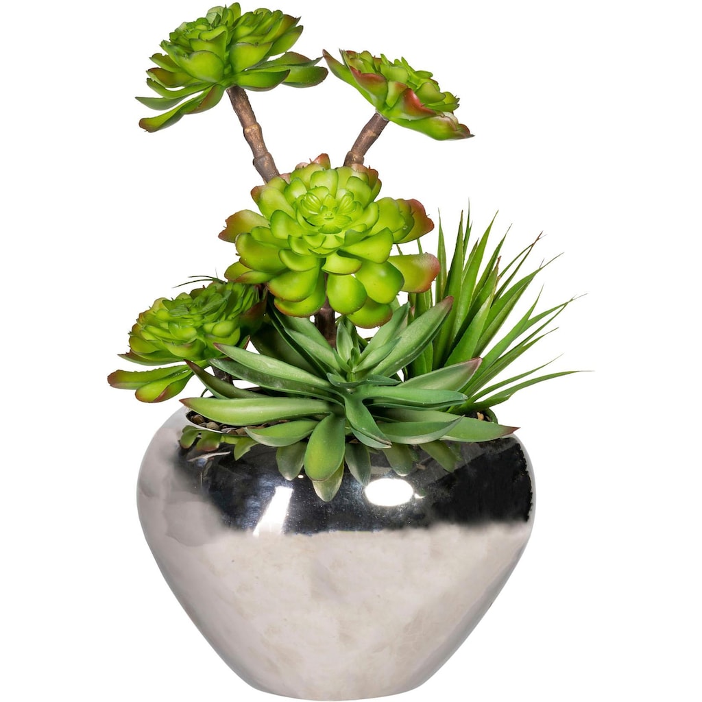 Creativ green Kunstpflanze »Sukkulenten«