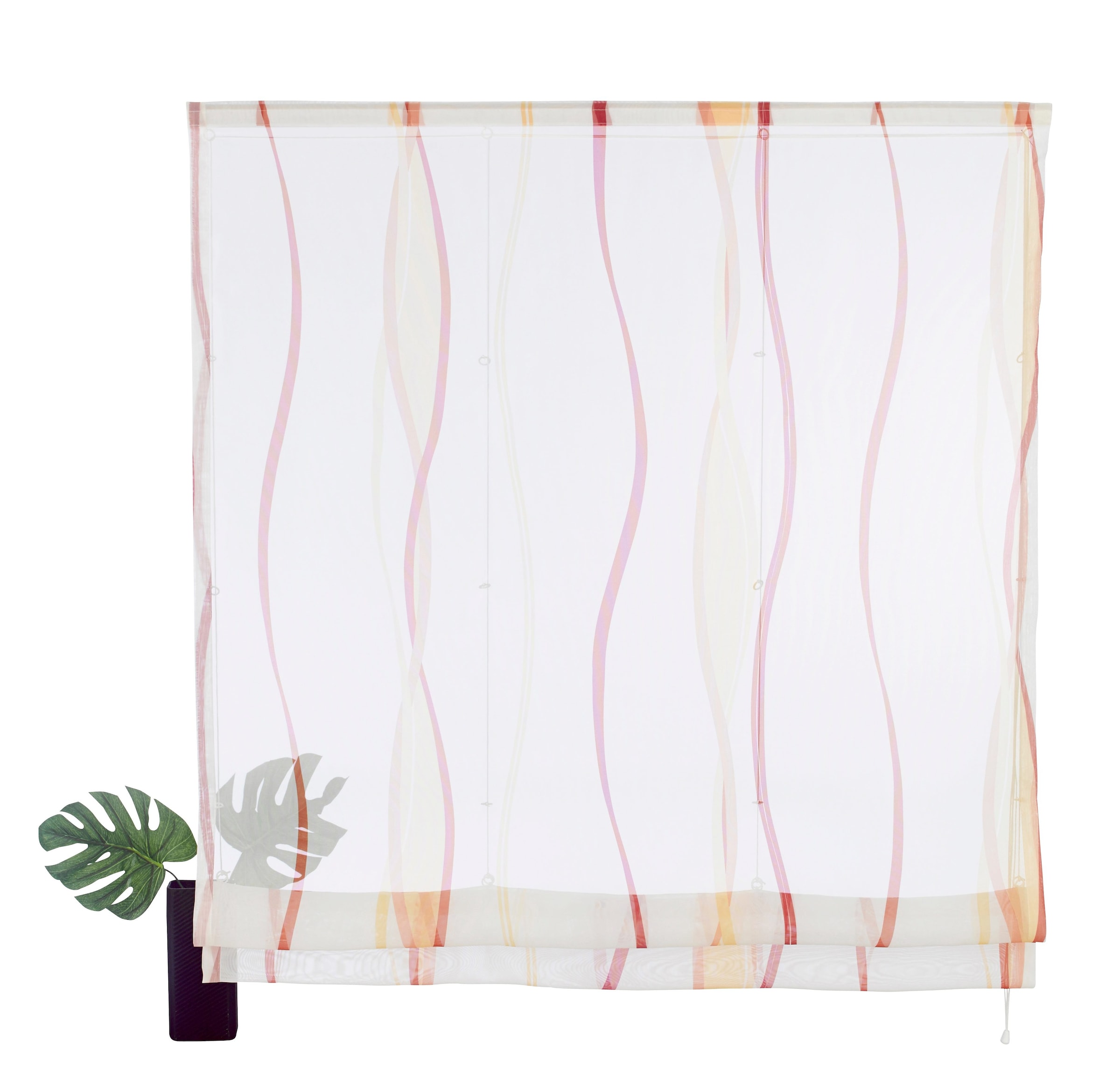 my home Raffrollo »Dimona«, Klettschiene, Wellen Polyester, Transparent, Voile, mit