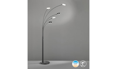 FISCHER & HONSEL LED Bogenlampe »Dent«, 5 flammig-flammig kaufen