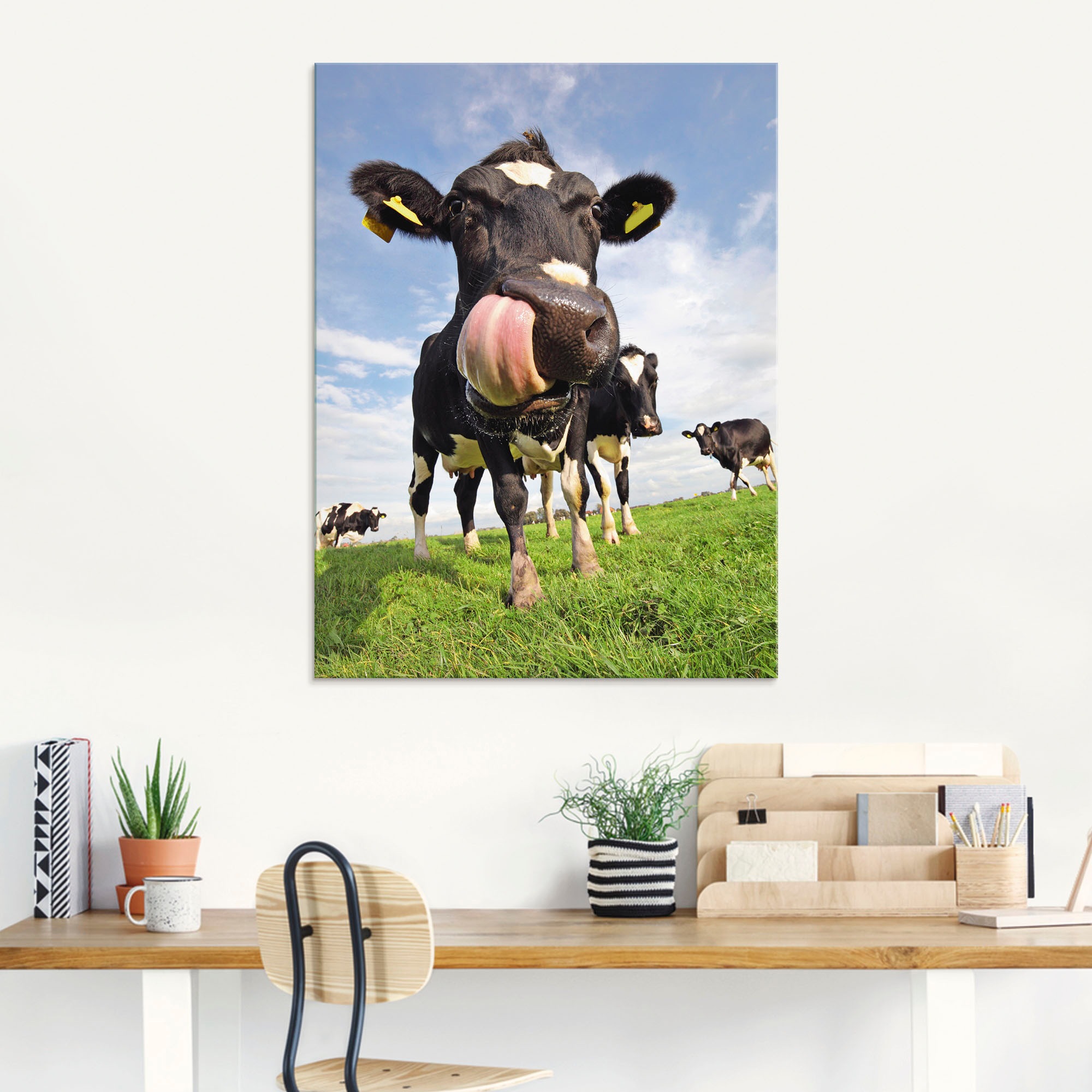Artland Glasbild »Holstein-Kuh mit gewaltiger Zunge«, Haustiere, (1 St.), in verschiedenen Größen