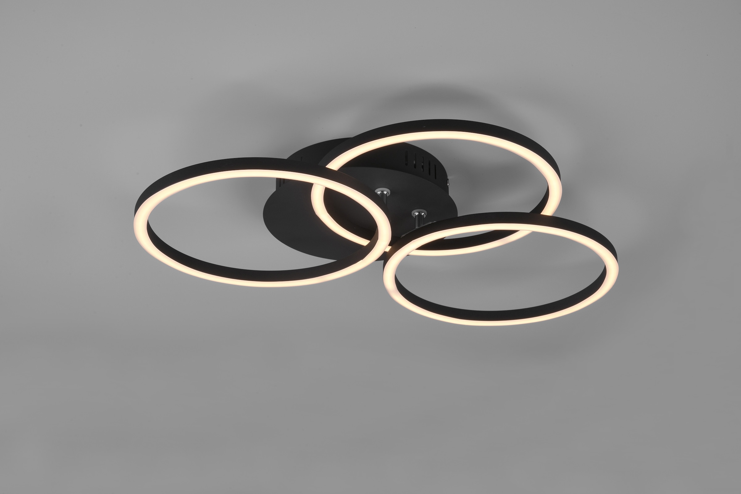TRIO Leuchten LED kaufen Ringen inkl. online Fernbedienung XXL | 1 schwarz mit Jahren / Deckenlampe Garantie 3 »Circle«, matt mit Deckenleuchte schwenkbaren flammig-flammig