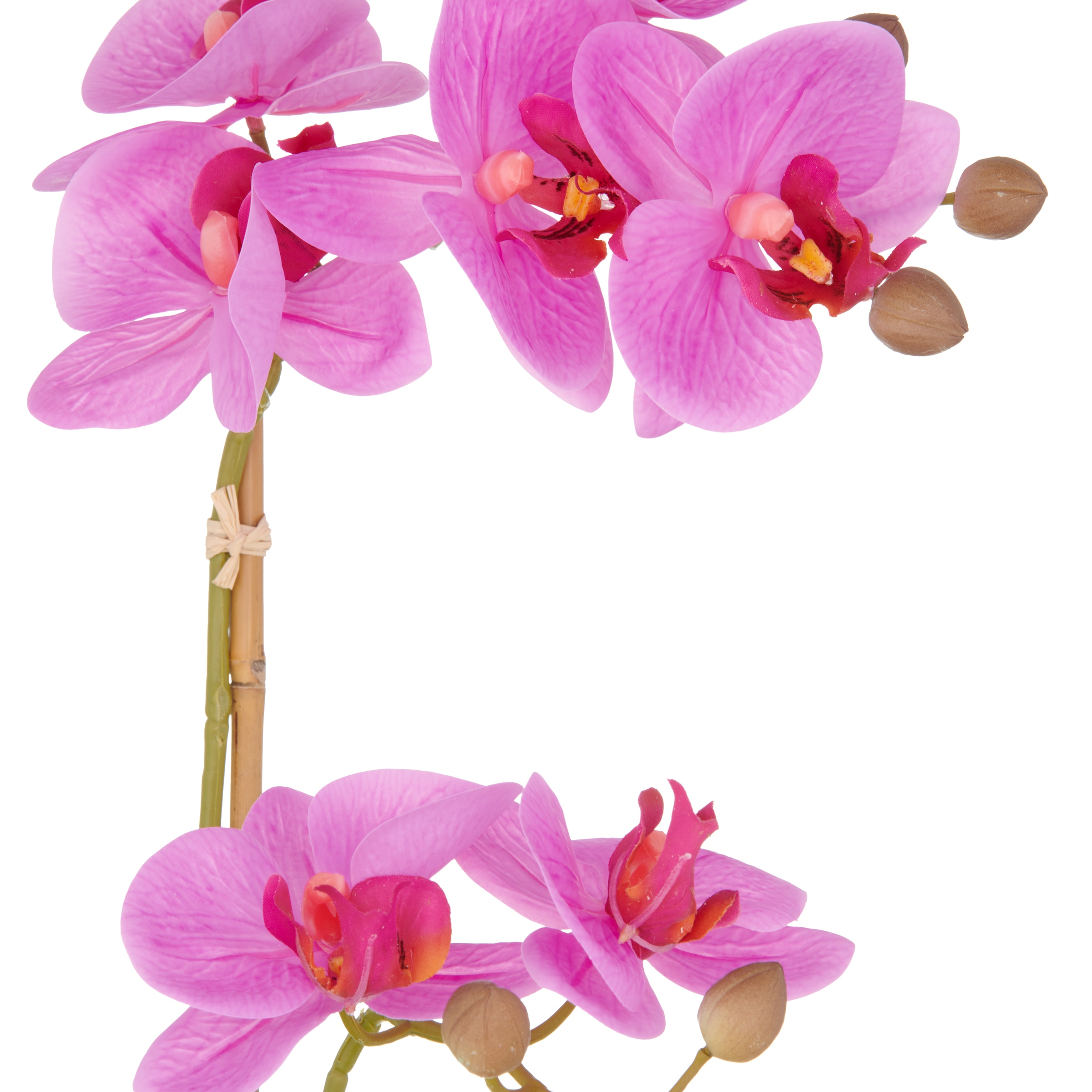Creativ green Kunstorchidee »Orchidee Phalaenopsis« mit dauerhafter Blütenpracht