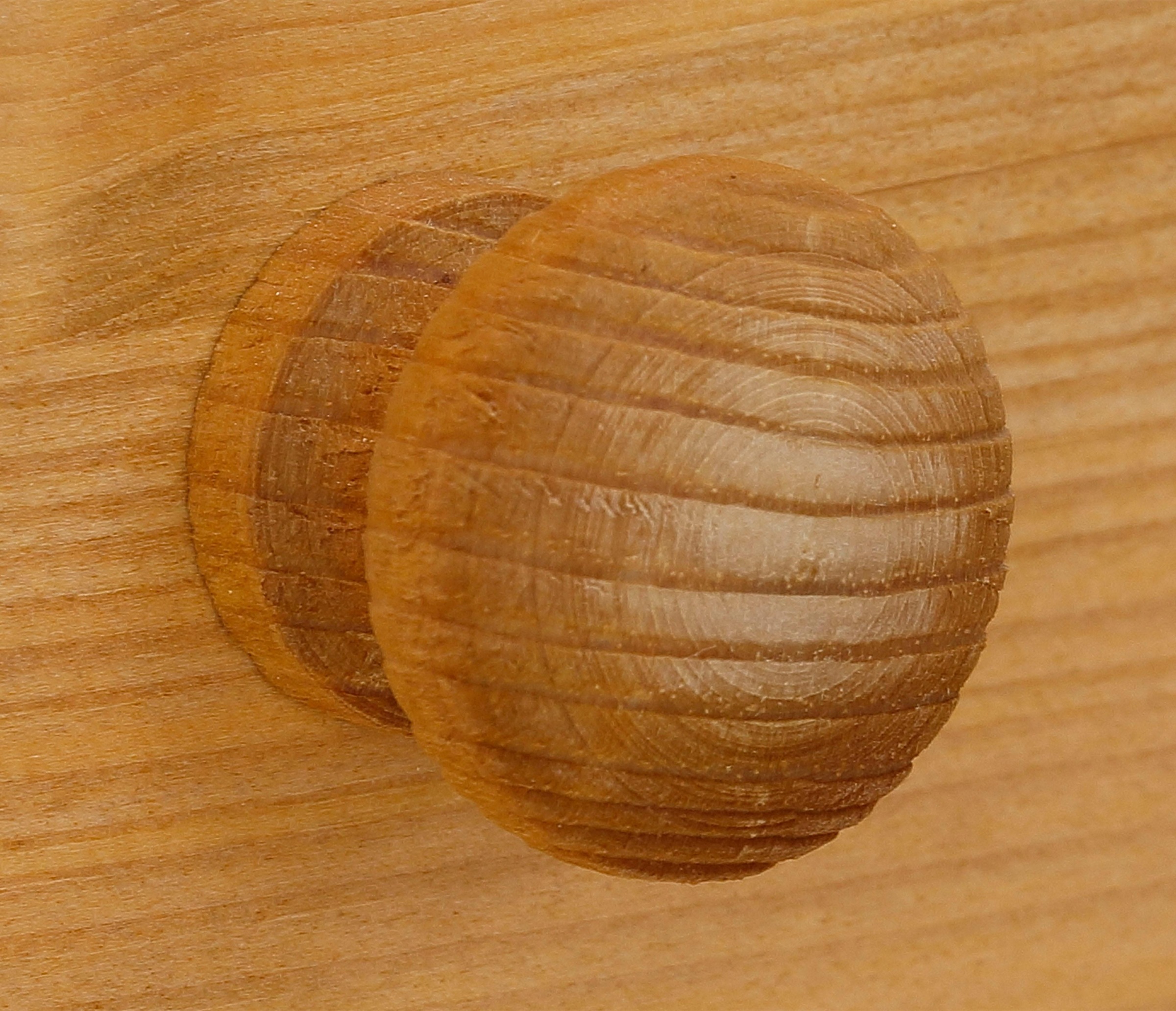 Home affaire Wäscheschrank »Minik« aus schönem massivem Kiefernholz, in unterschiedlichen Farbvarianten