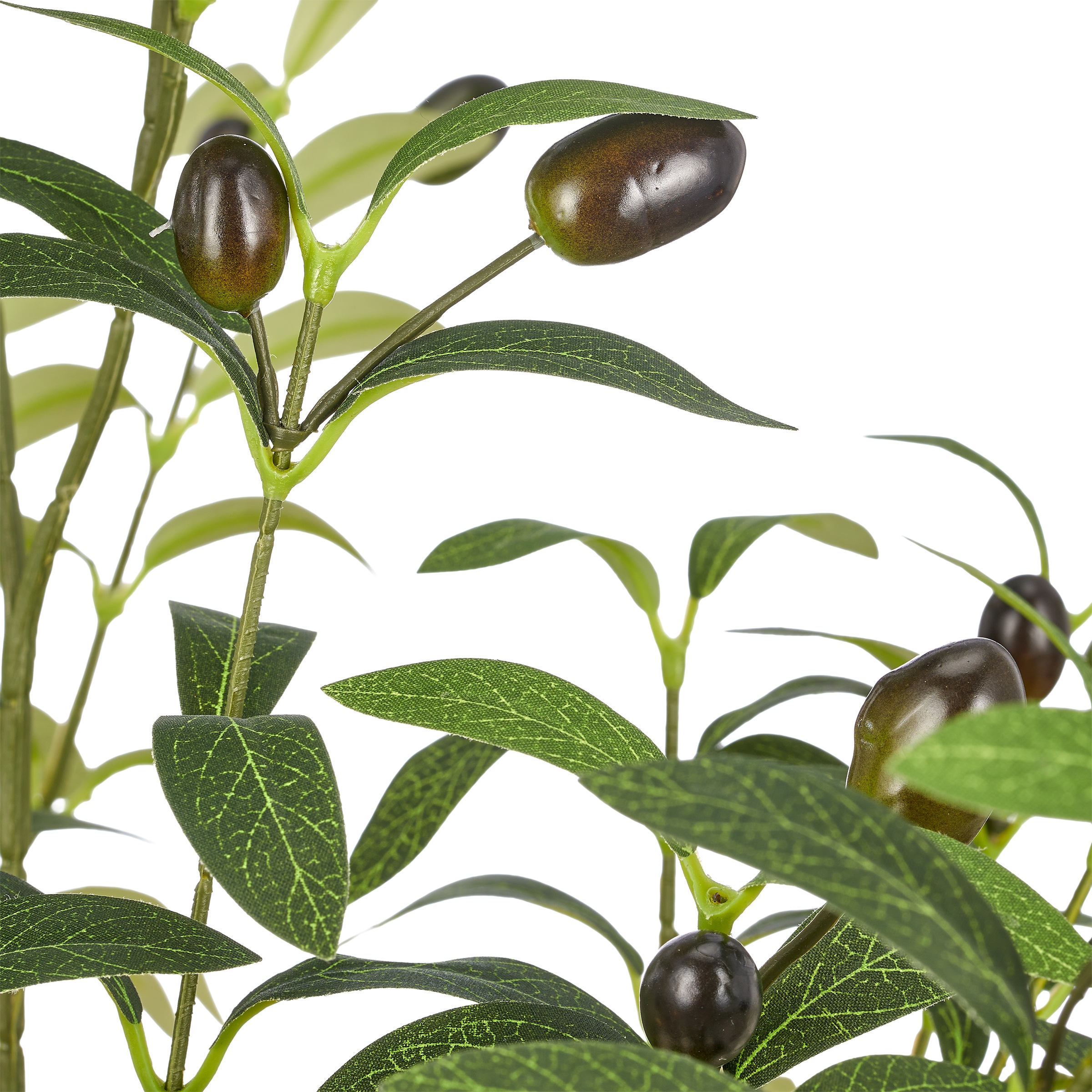 Creativ green Kunstpflanze »Olive« mit Deko-Früchten
