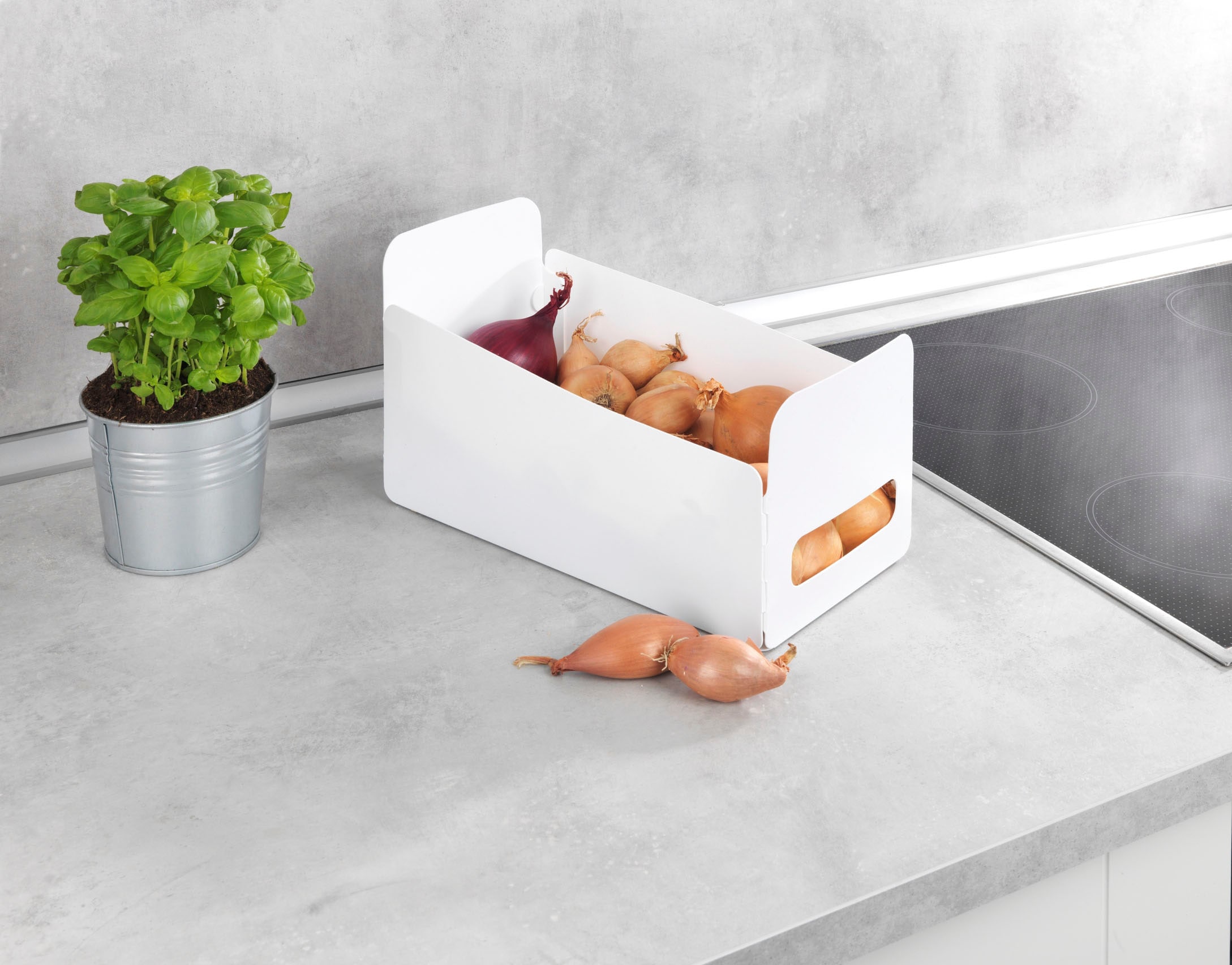 WENKO Organizer »Universal«, (Set, 6 St.), Aufbewahrungsboxen für Küche und Haushalt, faltbar, Kunststoff