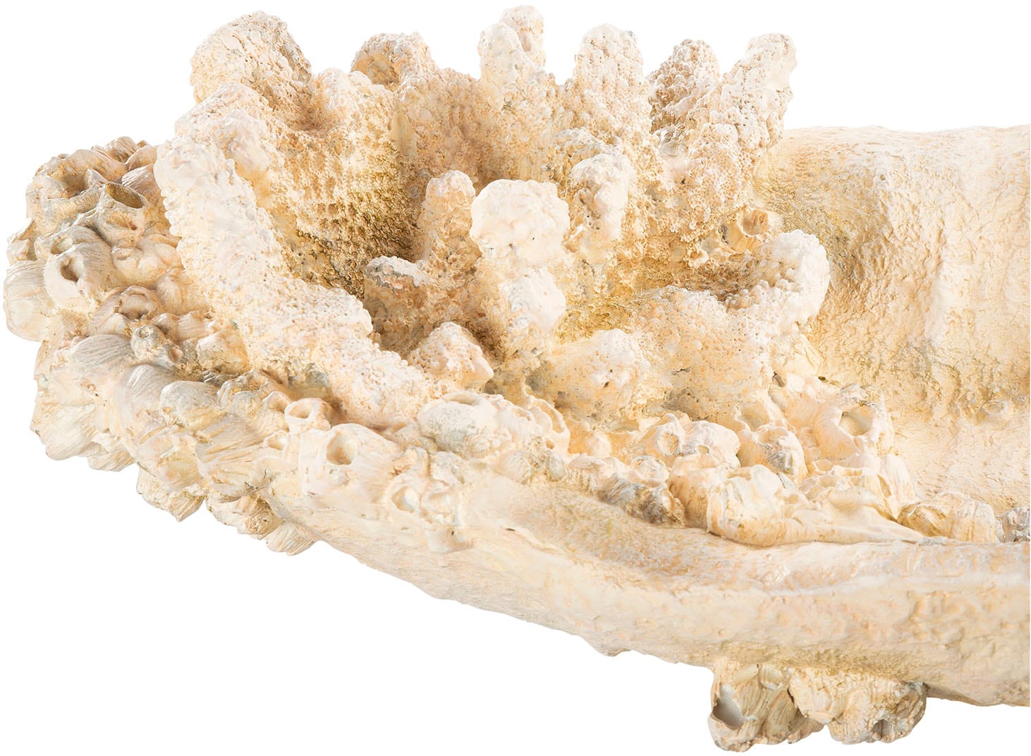 GILDE Dekoschale »Schale Amphora Seychelles weiß H. 10,5 cm«