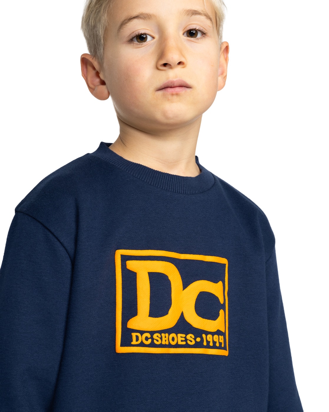 DC Shoes Sweatshirt »Tribute«