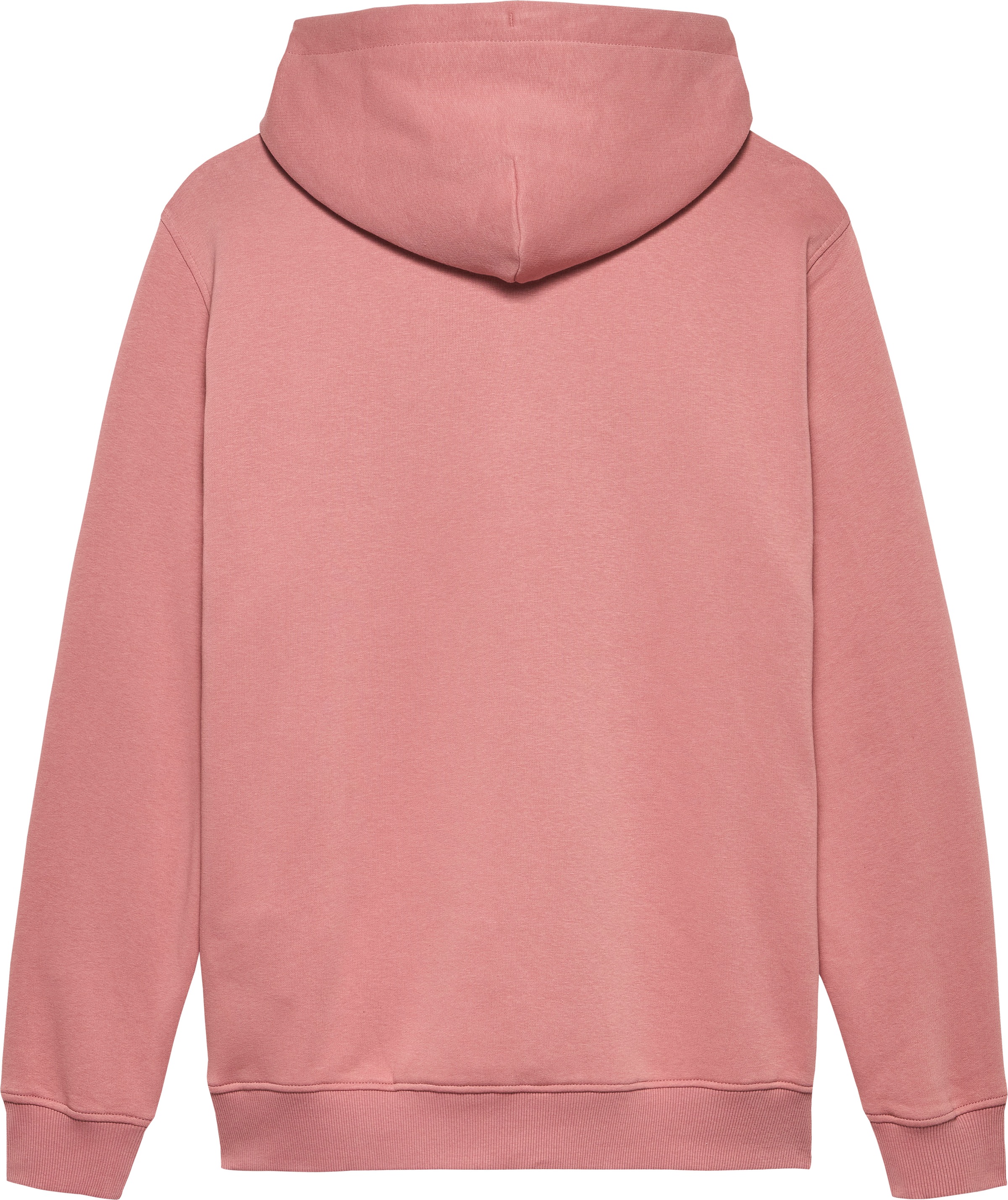 Tommy Jeans Hoodie »TJM REG LINEAR LOGO HOODIE EXT«, mit Logo-Stickerei