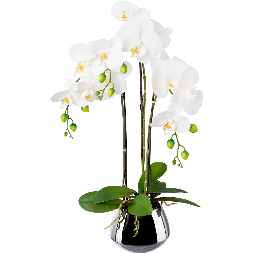 Creativ green Kunstorchidee »Phalaenopsis im Silbertopf«