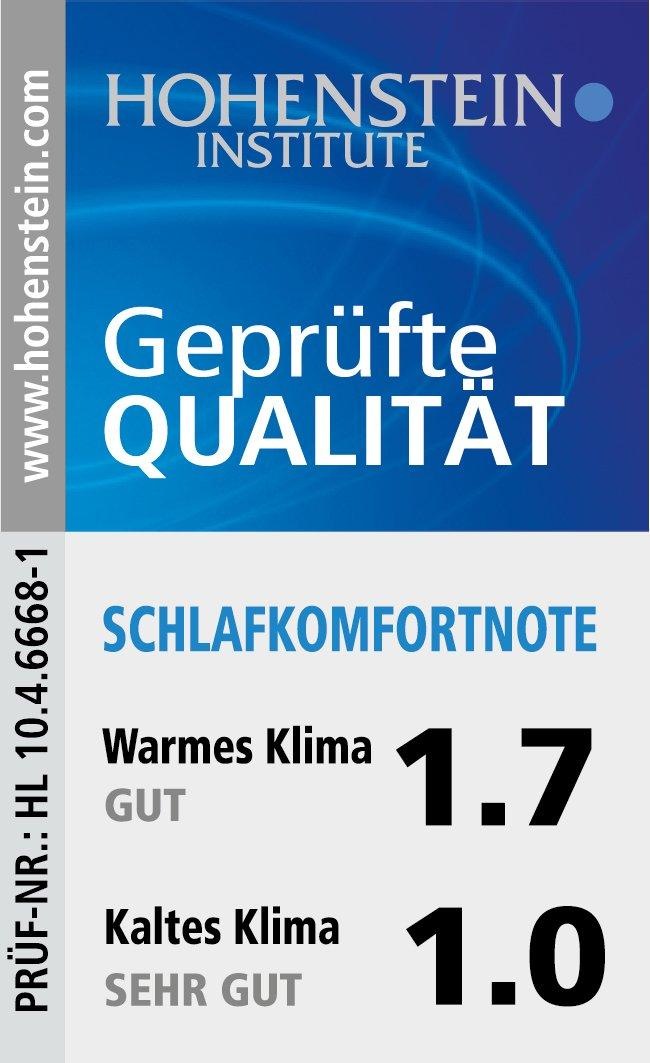 Haeussling Einziehdecke »Swiss Royal«, extrawarm, Füllung weiße neue Daunen und Federn, Klasse I, (90% Daunen, 10% Federn), Bezug feine Einschütte, 100% Baumwolle, (1 St.)