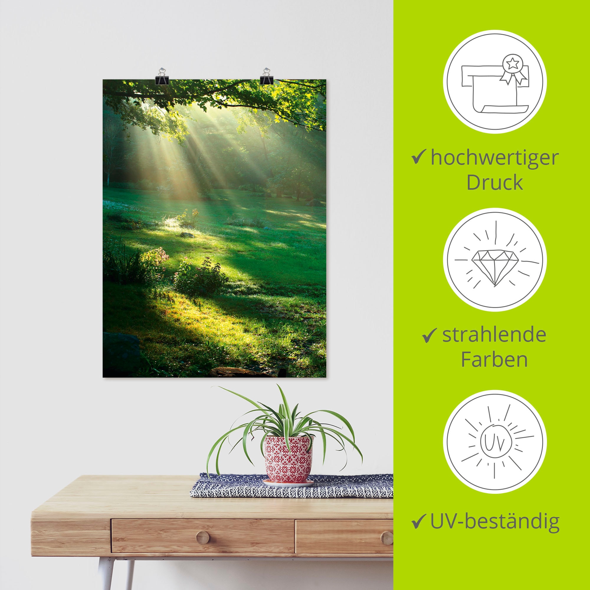 Artland Wandbild »Lichtkegel« Wald 1 Stk. tlg. als Alubild, Outdoorbild, Leinwandbild, Poster, Wandaufkleber