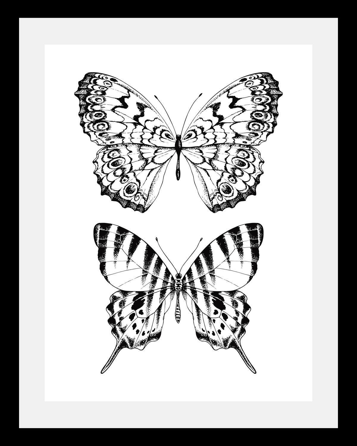 queence Bild »Schmetterlinge«, Tiere-Schwarz-Weiß-Kunst-Insekten-Schmetterlinge, HD Premium Poster-Druck inkl. Holzrahmen