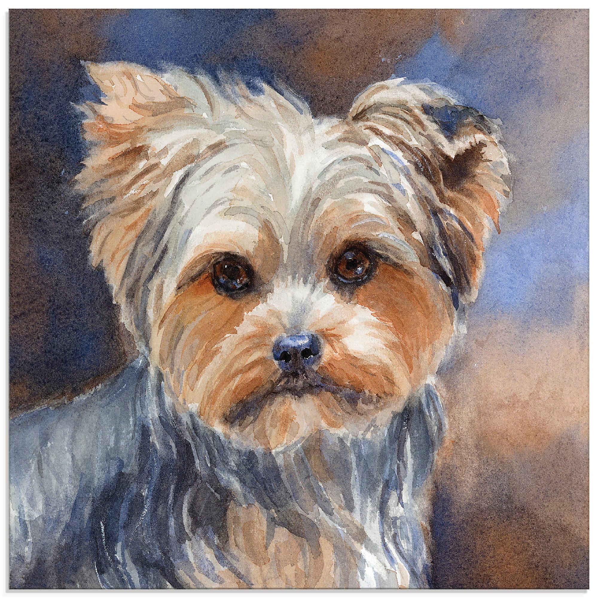 Glasbild »Sadie Belle Yorkshire Terrier«, Haustiere, (1 St.), in verschiedenen Größen