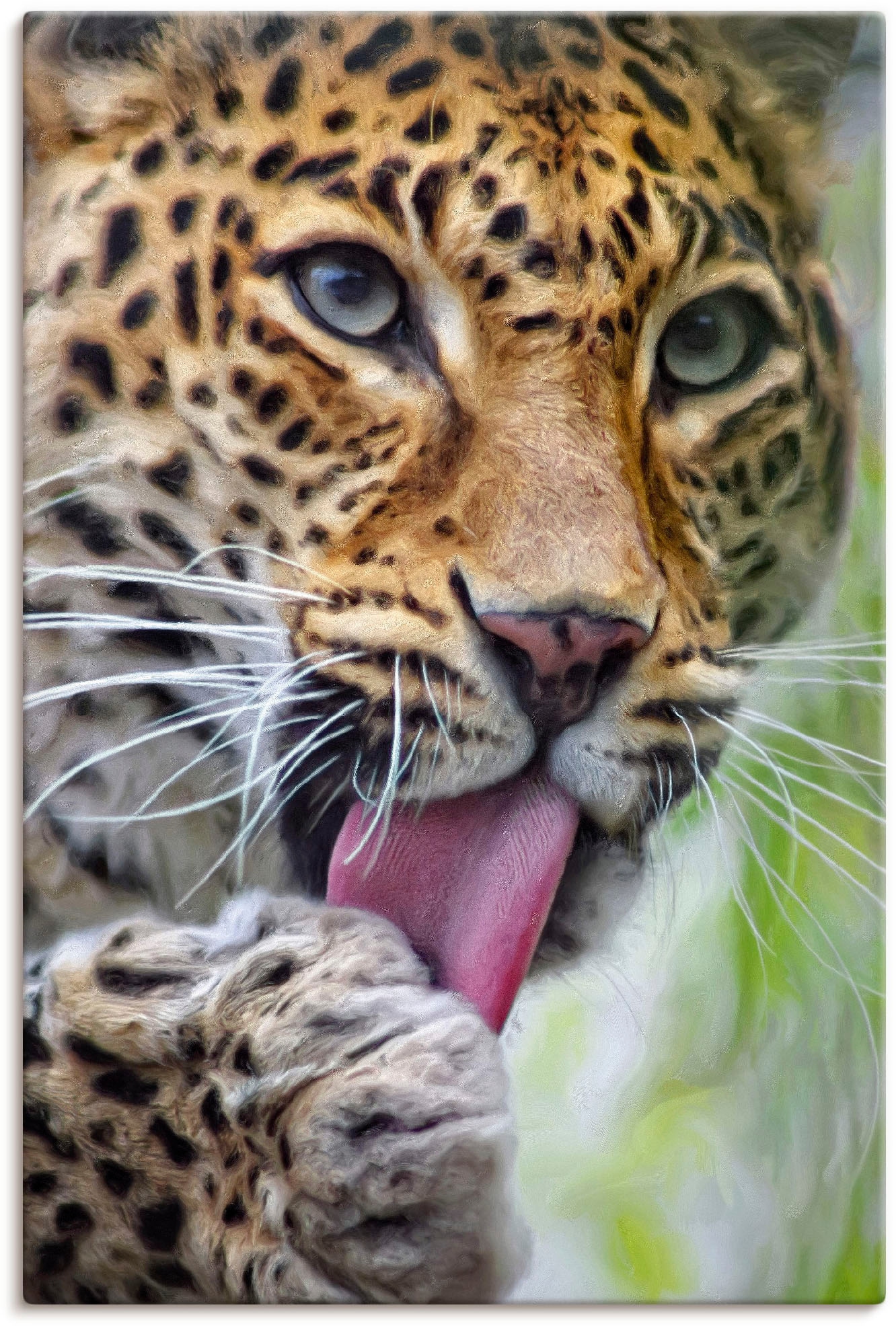 Artland Wandbild »Leopard«, Wildtiere, (1 oder Raten versch. Poster als St.), bestellen Alubild, Größen in auf Wandaufkleber Leinwandbild