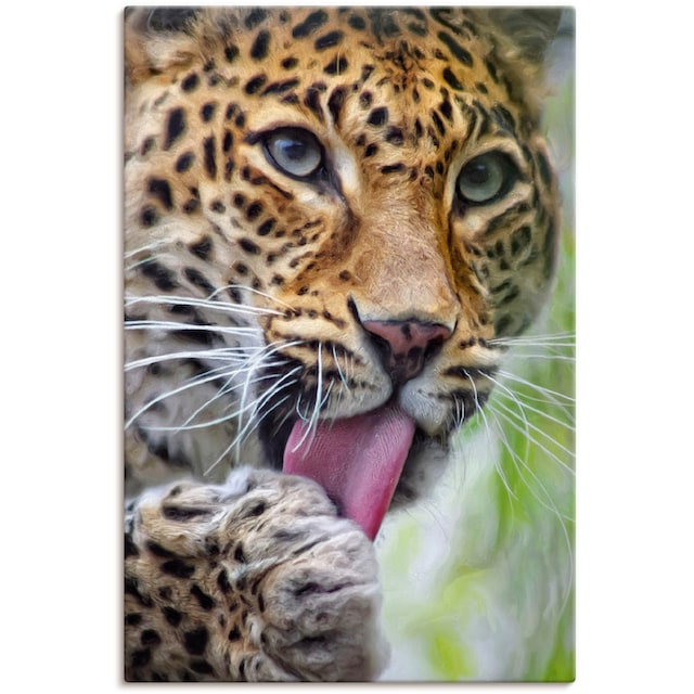 Artland Wandbild »Leopard«, Wildtiere, (1 St.), als Alubild, Leinwandbild,  Wandaufkleber oder Poster in versch. Größen auf Raten bestellen