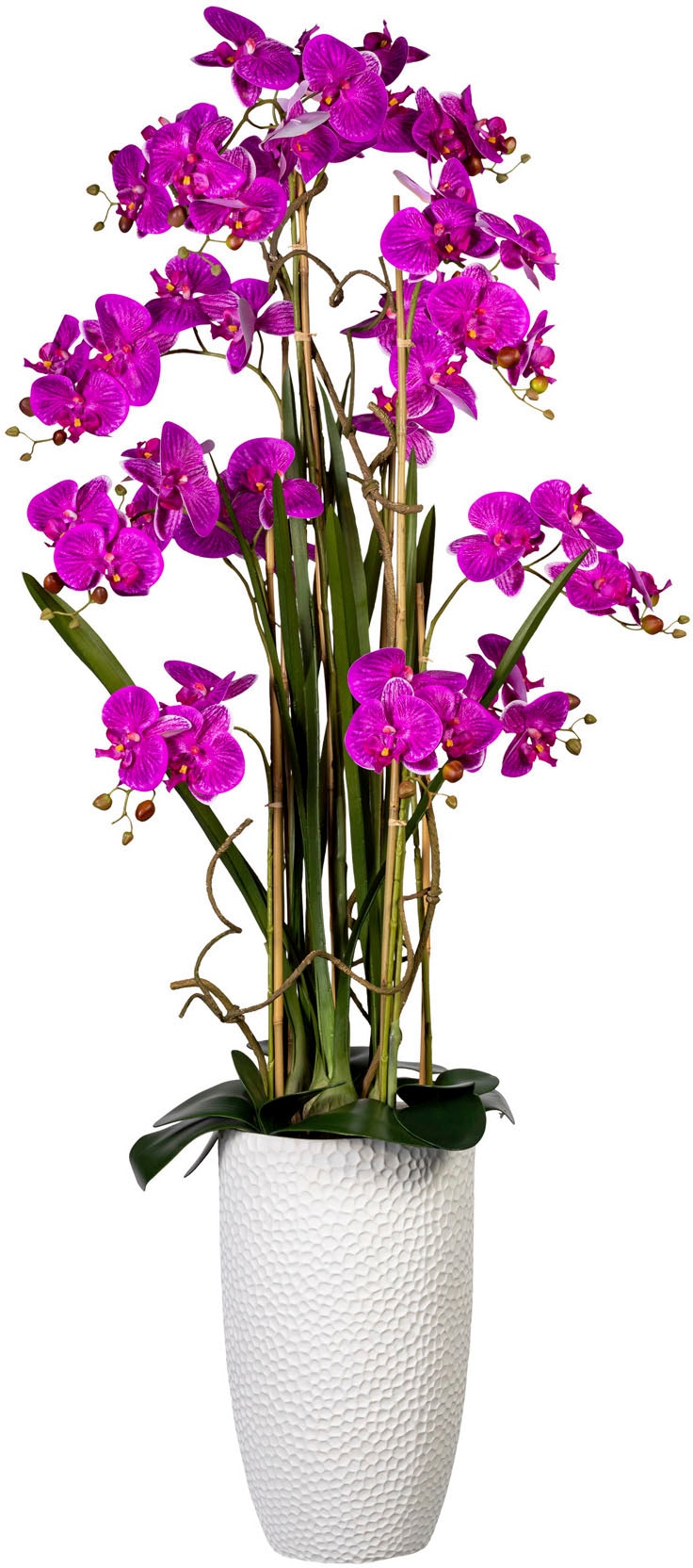 Creativ green Kunstorchidee »Deko-Orchidee Phalaenopsis XXL im Keramiktopf«  auf Rechnung bestellen