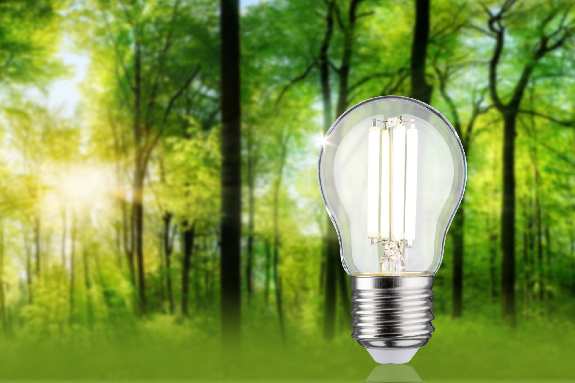 Paulmann LED-Leuchtmittel »Eco-Line Tropfen 525lm 2,5W 4000K klar 230V« E27 1 Stk. Neutralweiß